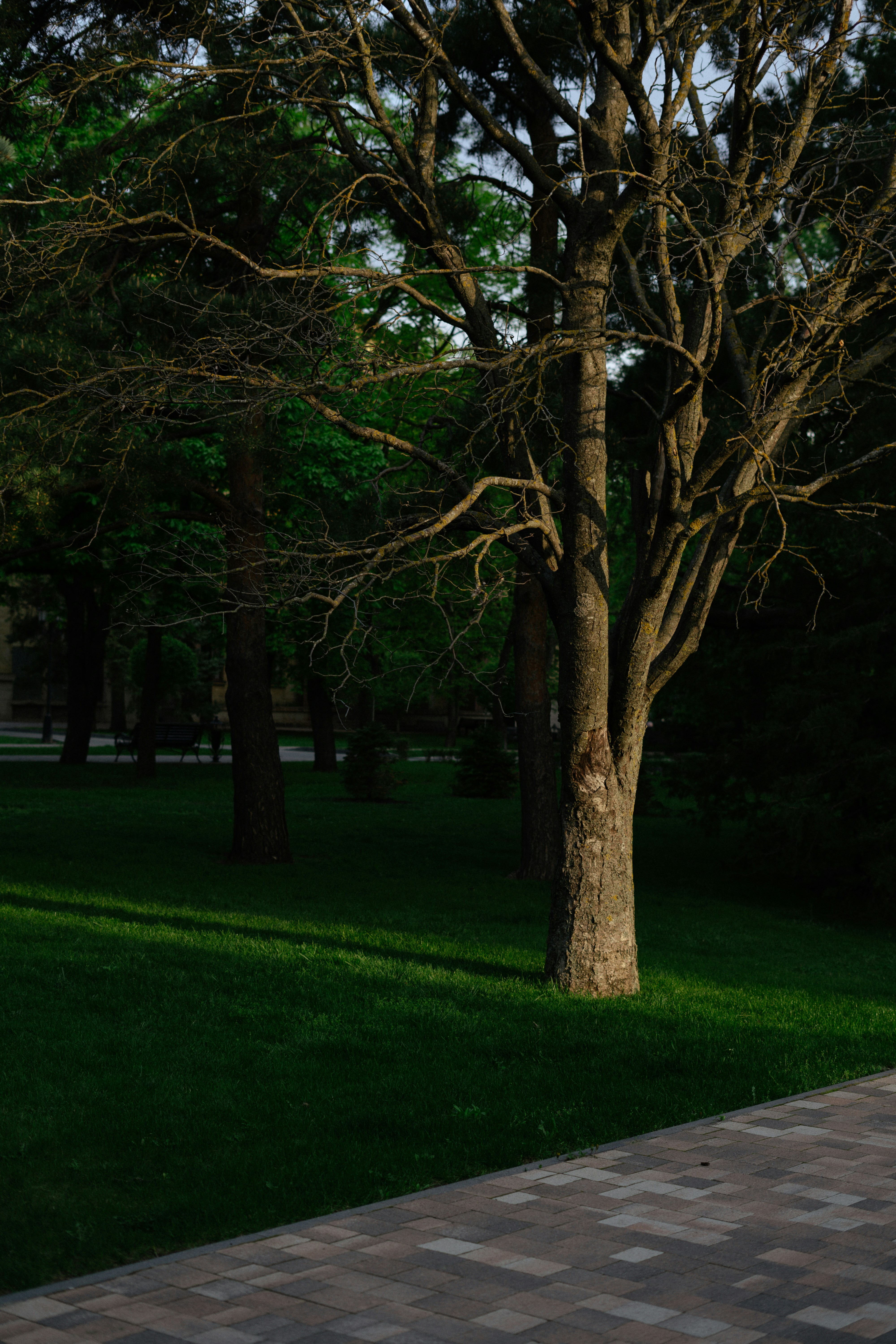 Photo by albina___white