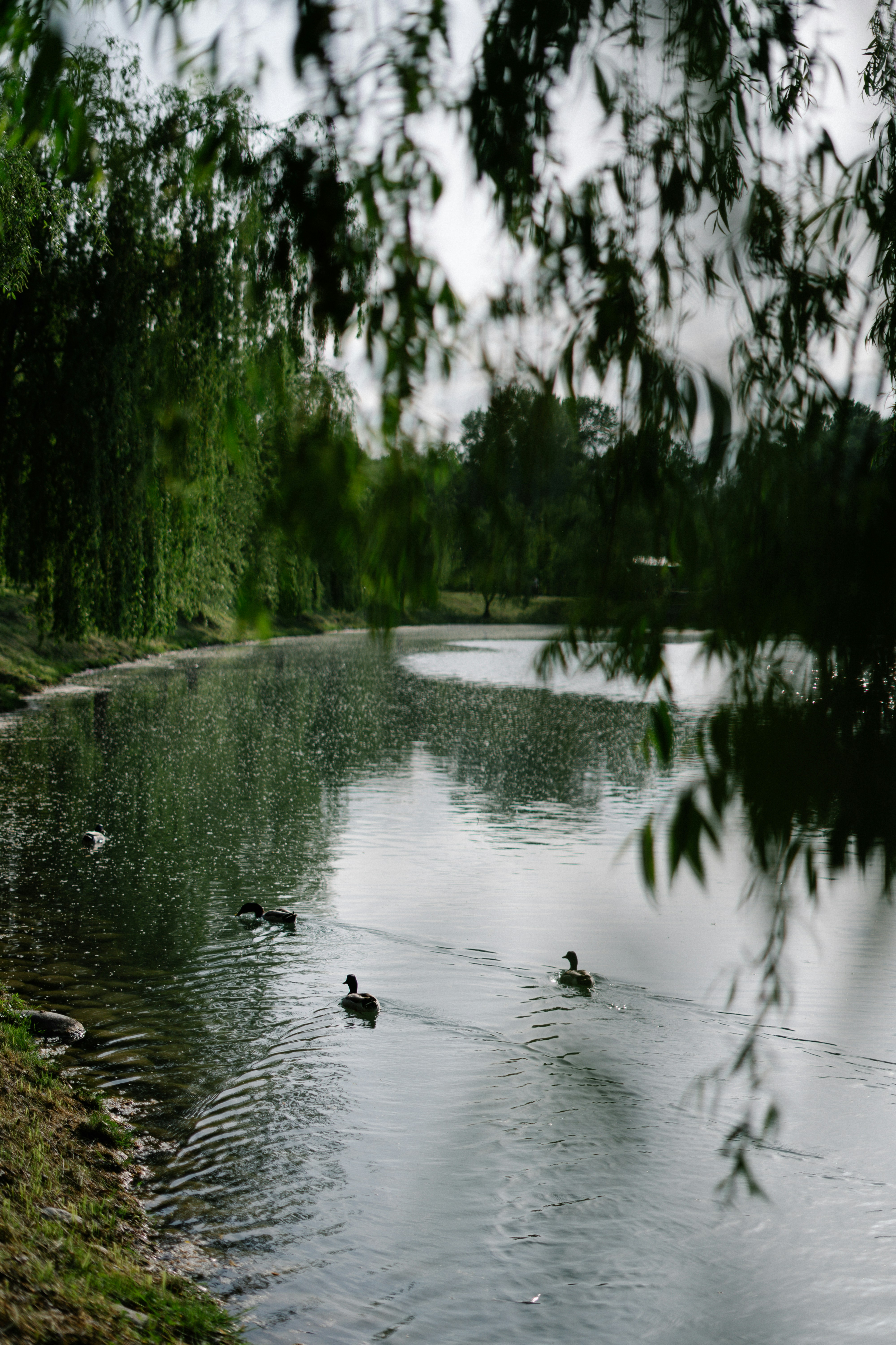 Photo by albina___white