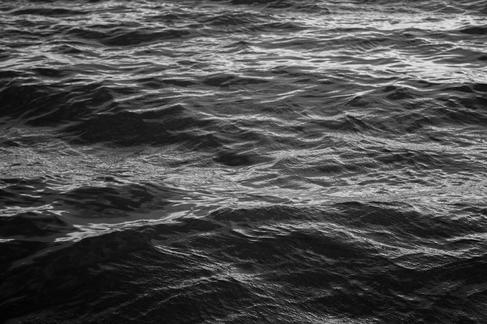 a body of water with waves