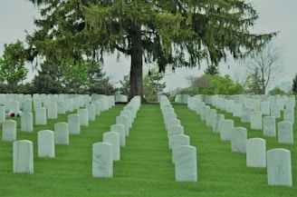 Headstones arranged in neat rows on a well-manicured lawn under a large, lush tree. The setting is serene and peaceful, indicative of a cemetery. The landscaping includes a variety of green shades with a few colorful flowers placed in front of some headstones.