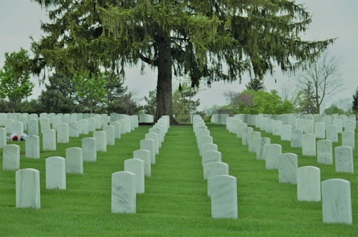 Headstones arranged in neat rows on a well-manicured lawn under a large, lush tree. The setting is serene and peaceful, indicative of a cemetery. The landscaping includes a variety of green shades with a few colorful flowers placed in front of some headstones.