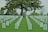 Headstones arranged in neat rows on a well-manicured lawn under a large, lush tree. The setting is serene and peaceful, indicative of a cemetery. The landscaping includes a variety of green shades with a few colorful flowers placed in front of some headstones.