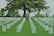 Headstones arranged in neat rows on a well-manicured lawn under a large, lush tree. The setting is serene and peaceful, indicative of a cemetery. The landscaping includes a variety of green shades with a few colorful flowers placed in front of some headstones.