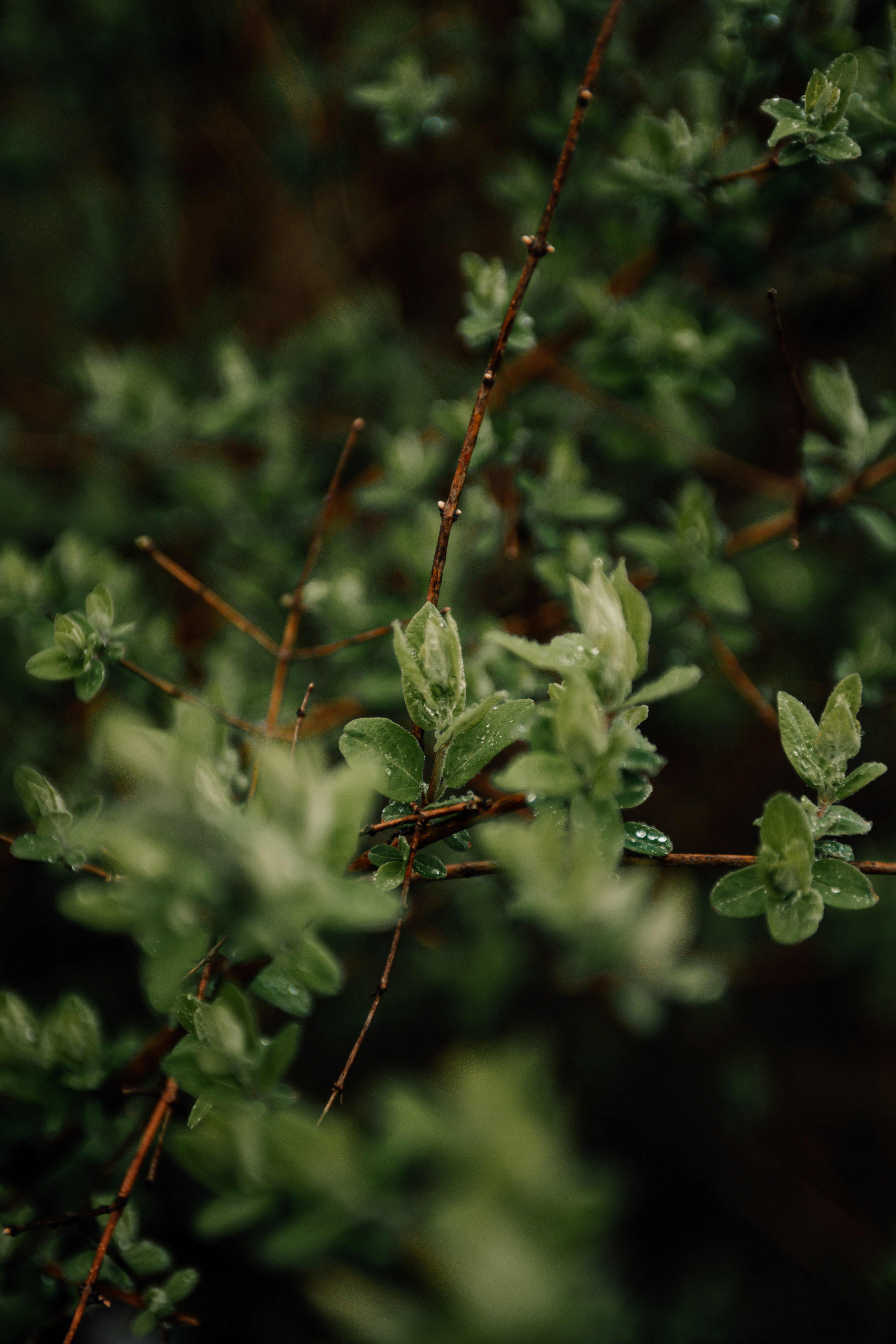 Photo by tayloradaugherty