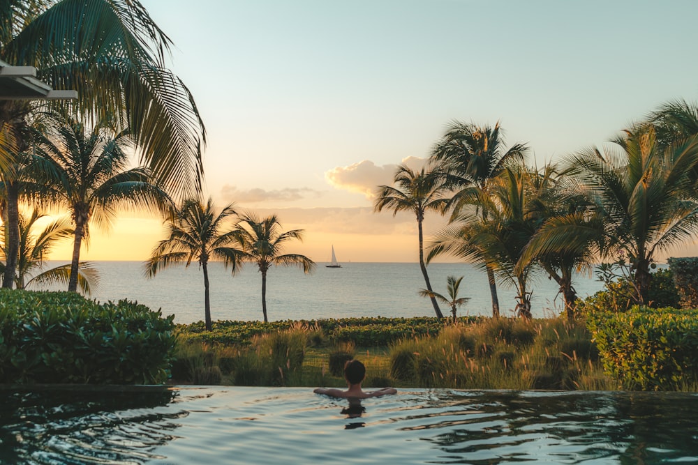 a person in a pool with palm trees and a body of water in the background