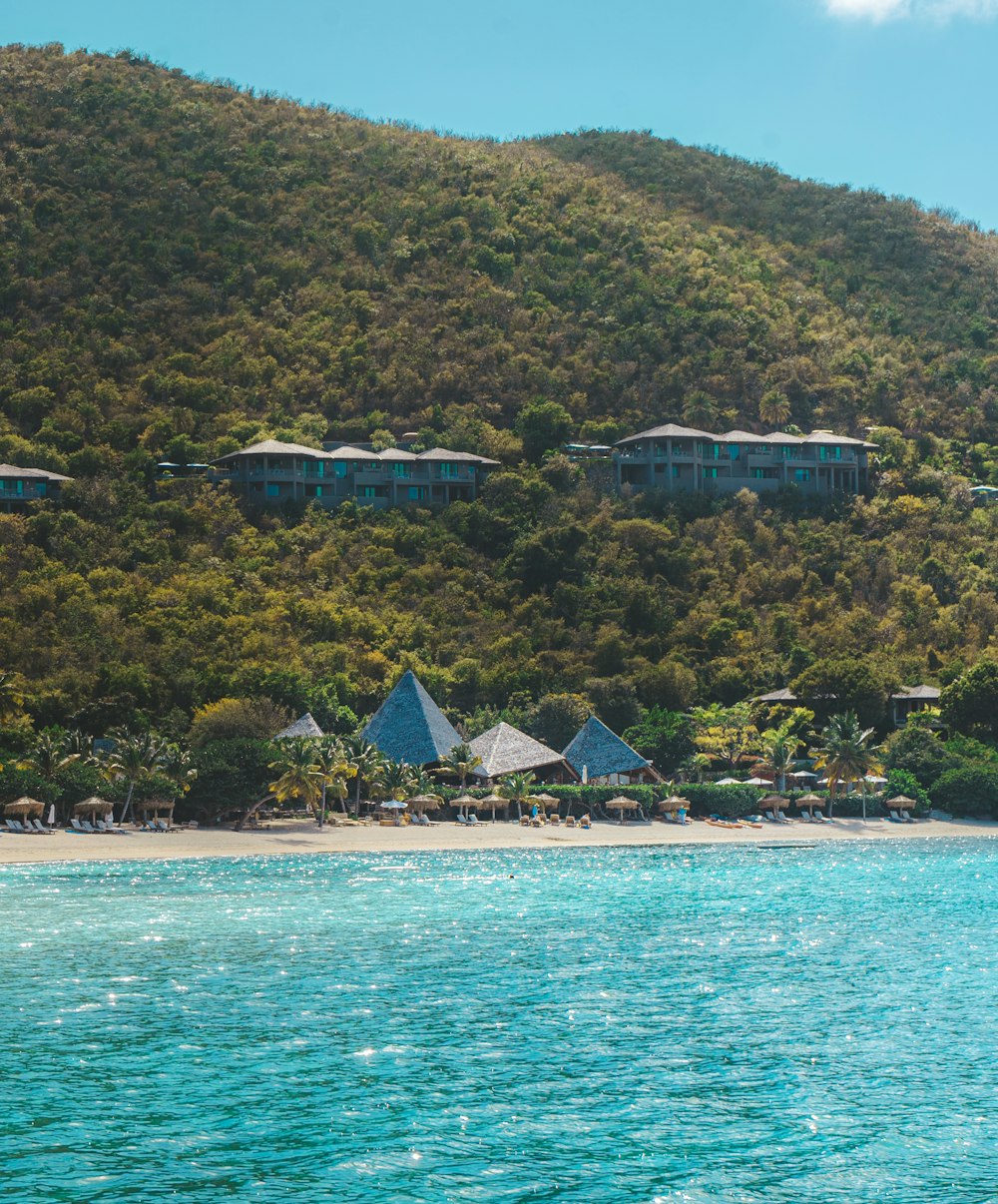 a beach with tents and trees