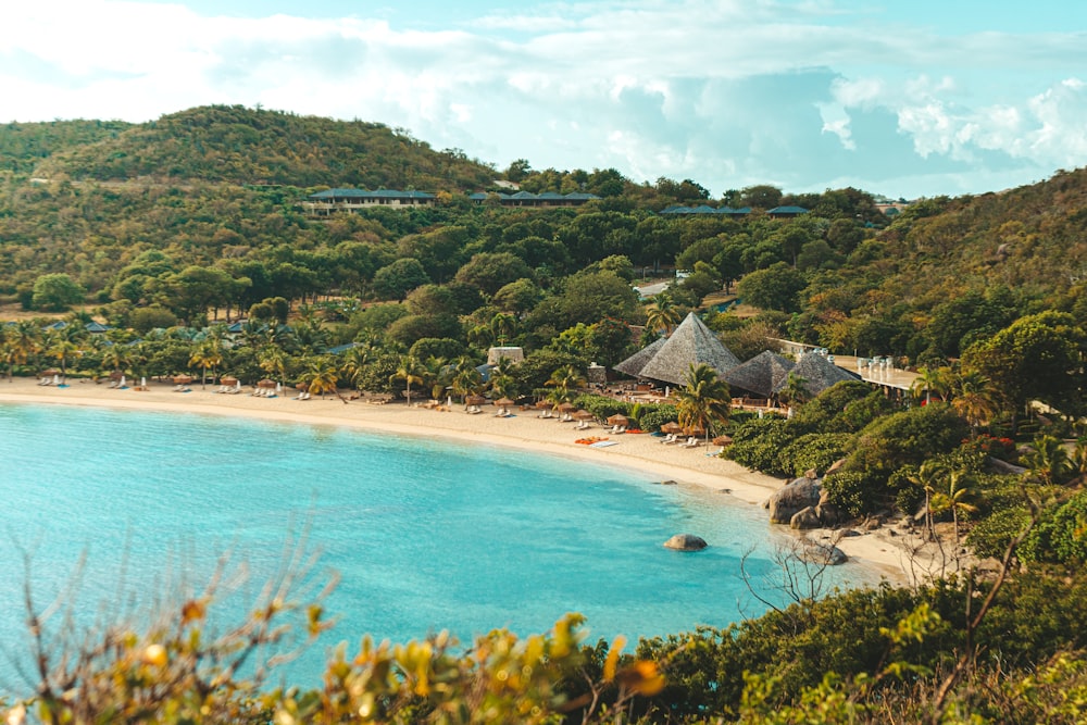 a beach with trees and houses