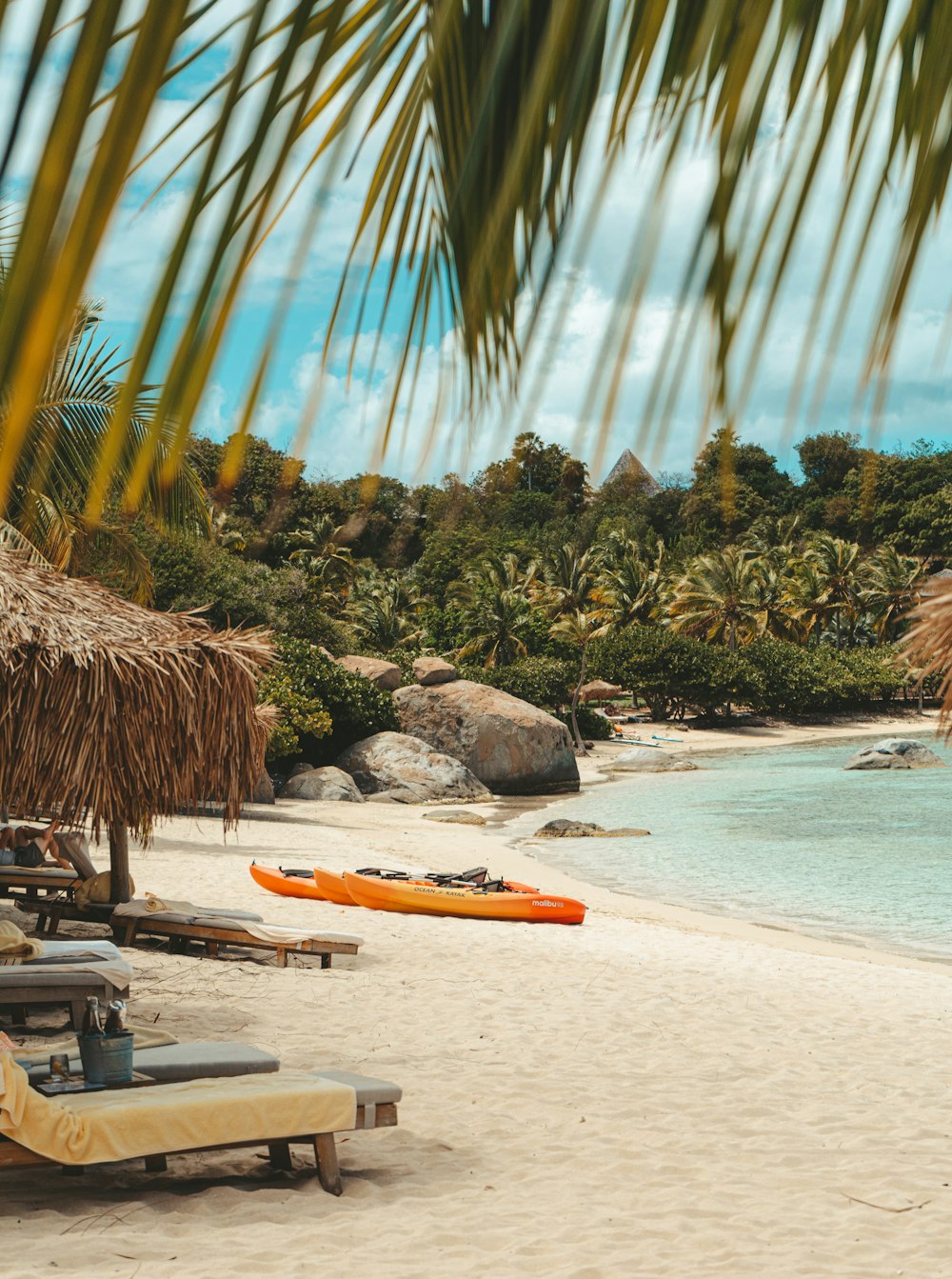 a beach with palm trees and a hammock