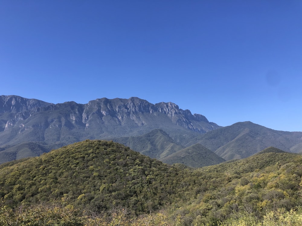 a mountain range with trees