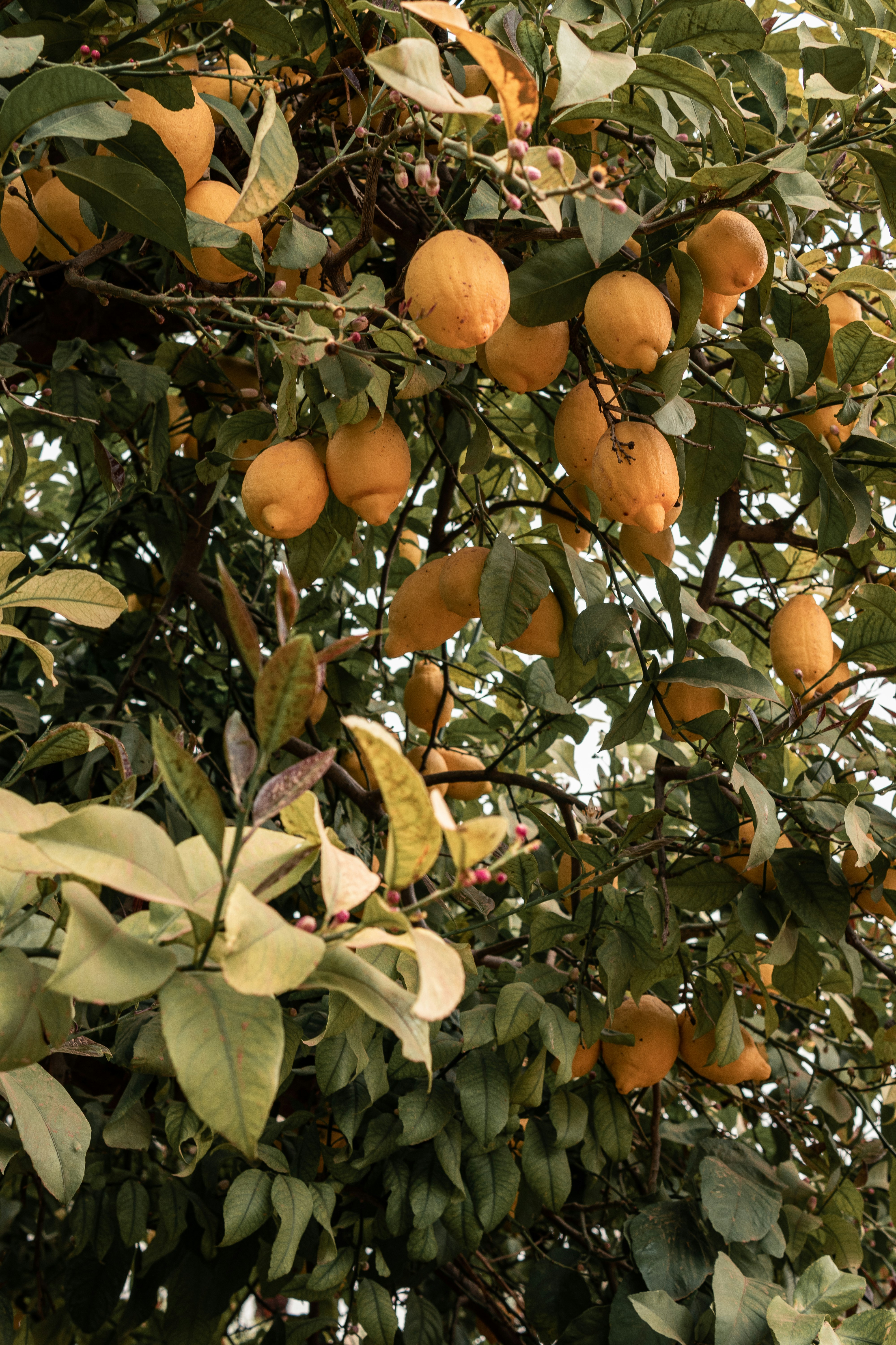 Photo by alex_quezada