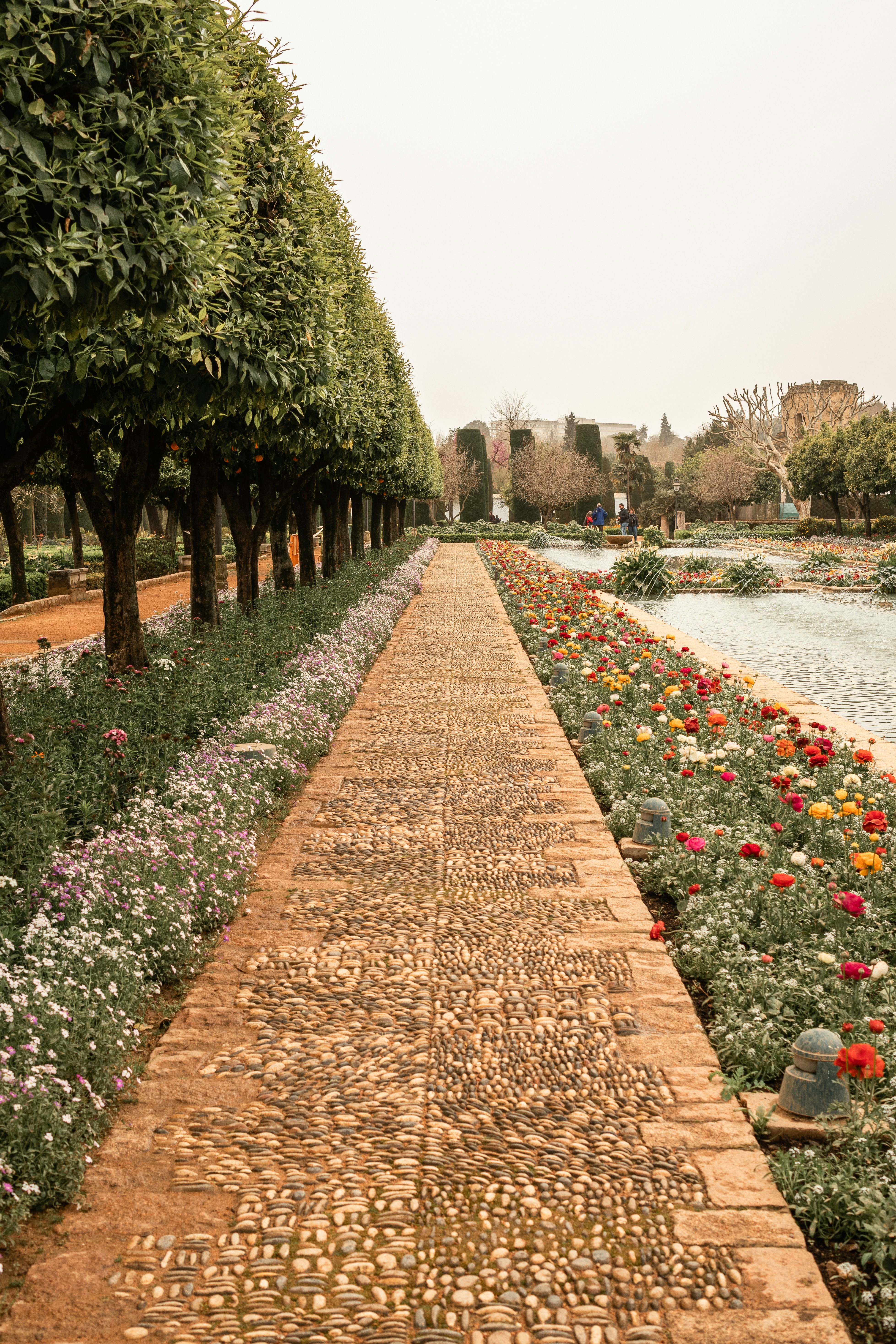 Photo by alex_quezada