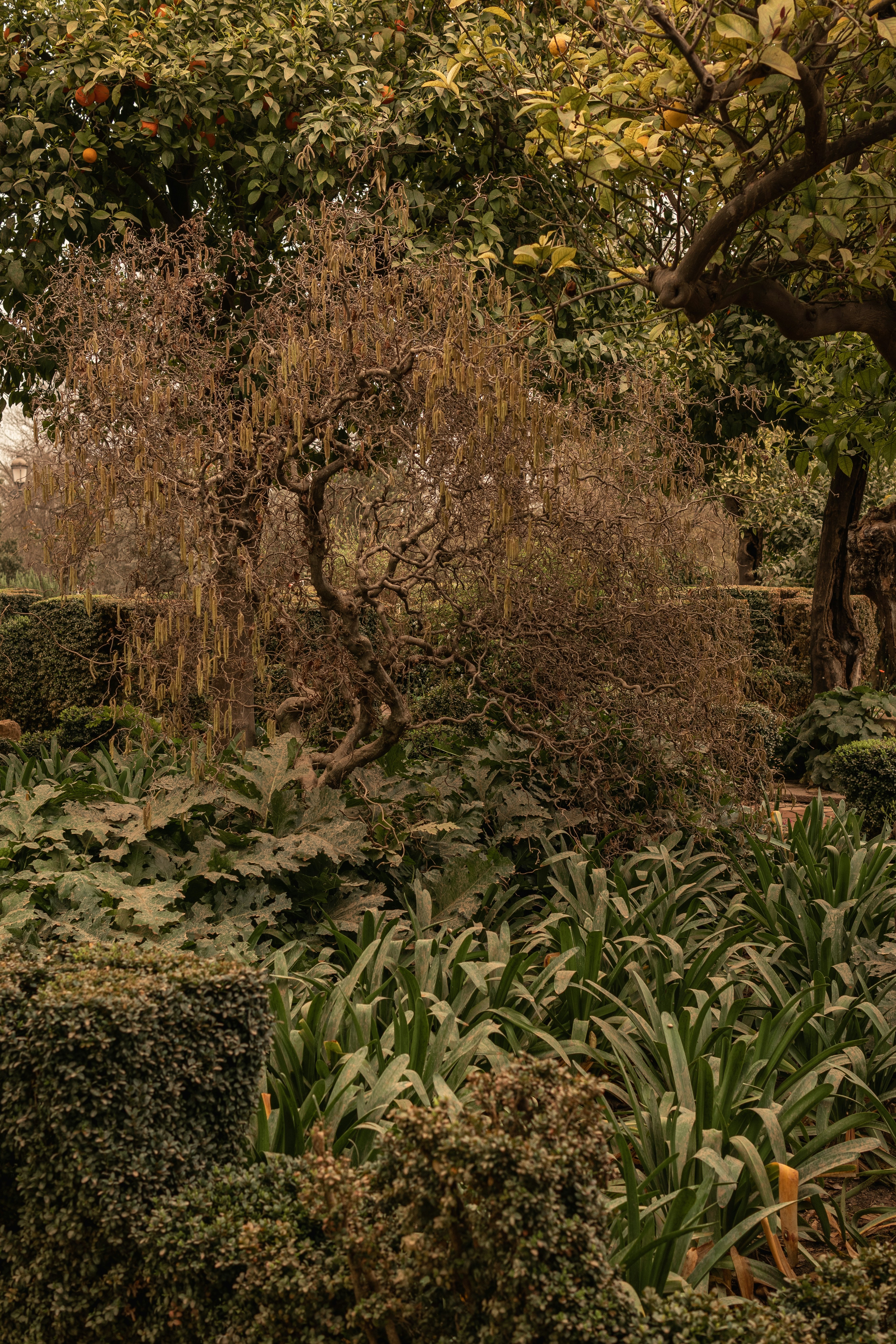 Photo by alex_quezada