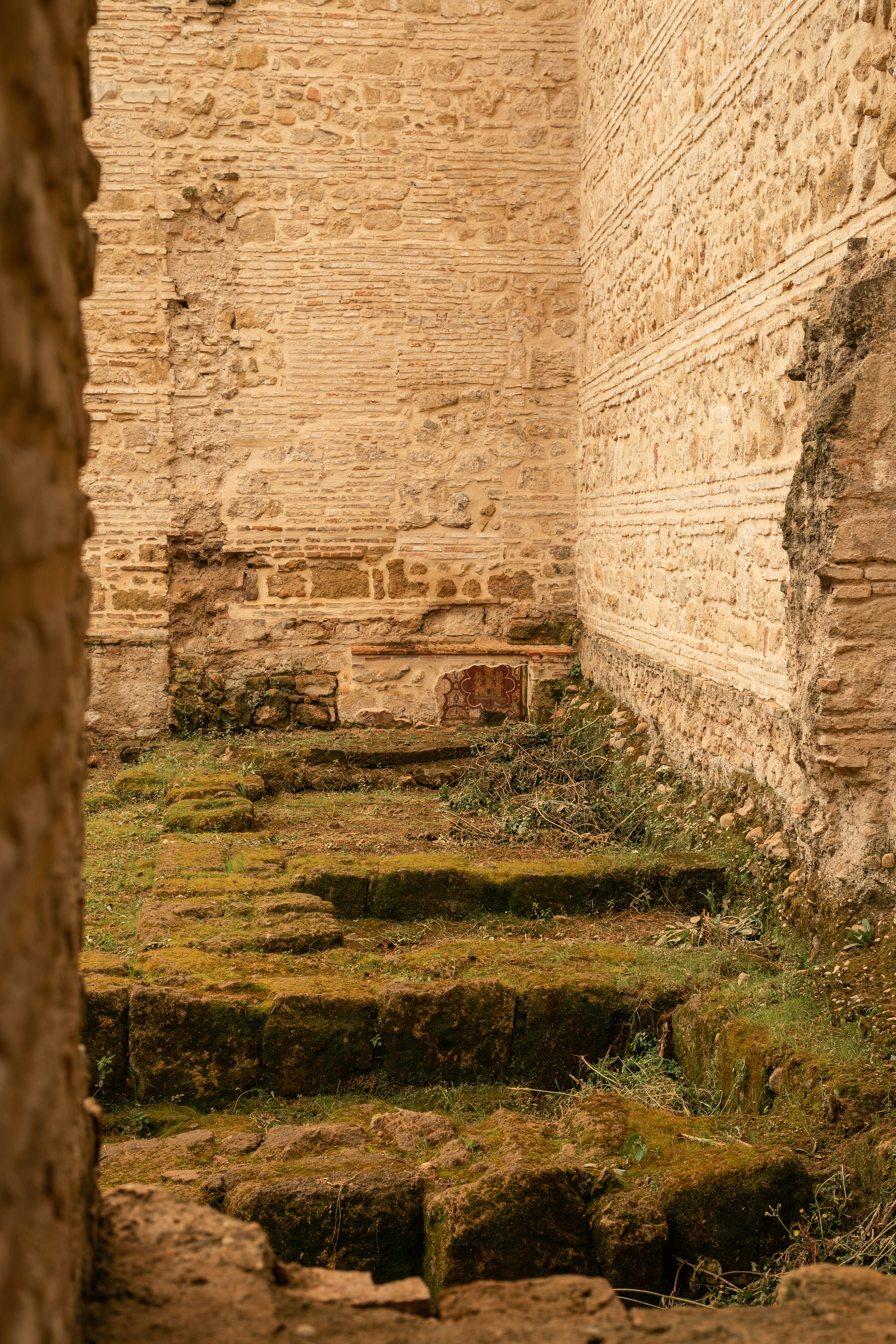 Pictory concept illustration