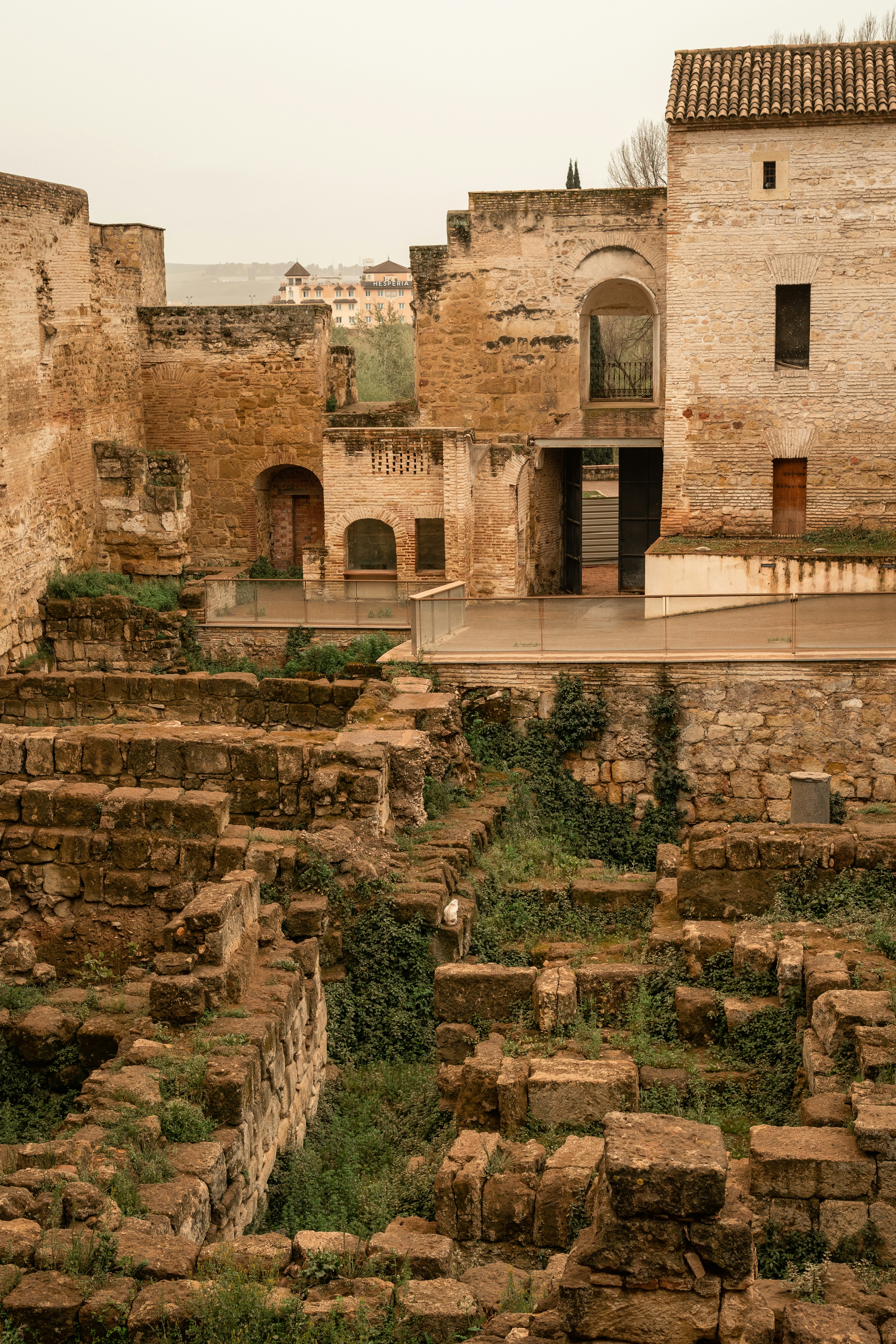 Photo by alex_quezada