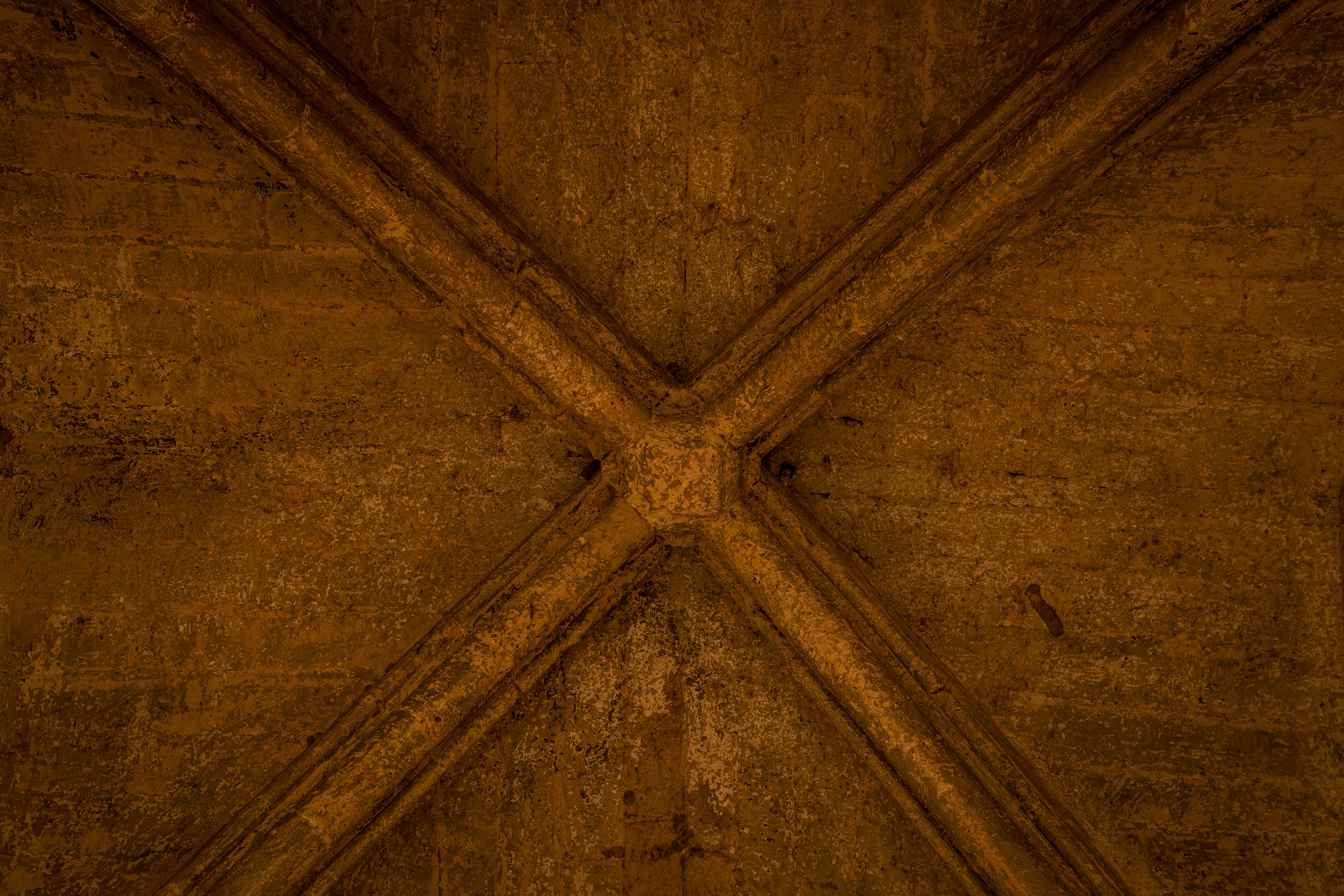 Photo by alex_quezada