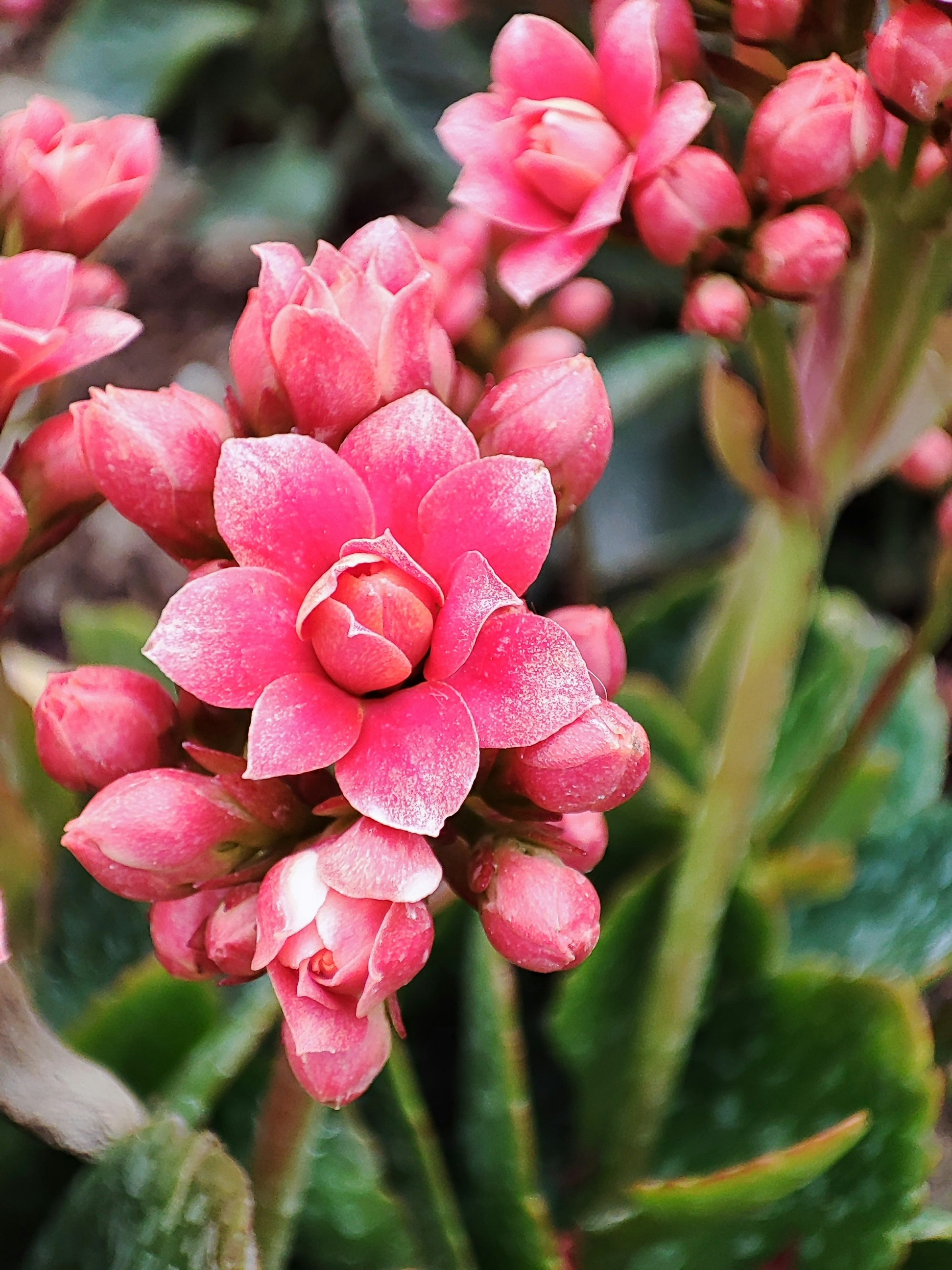 Photo by omidshahruee