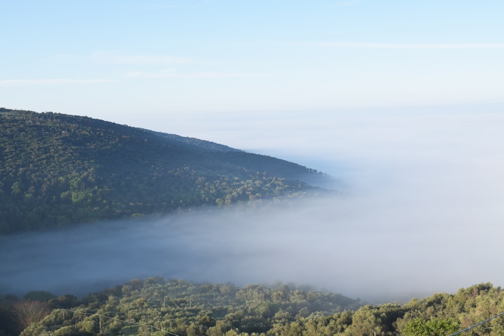 a foggy valley with trees and hills