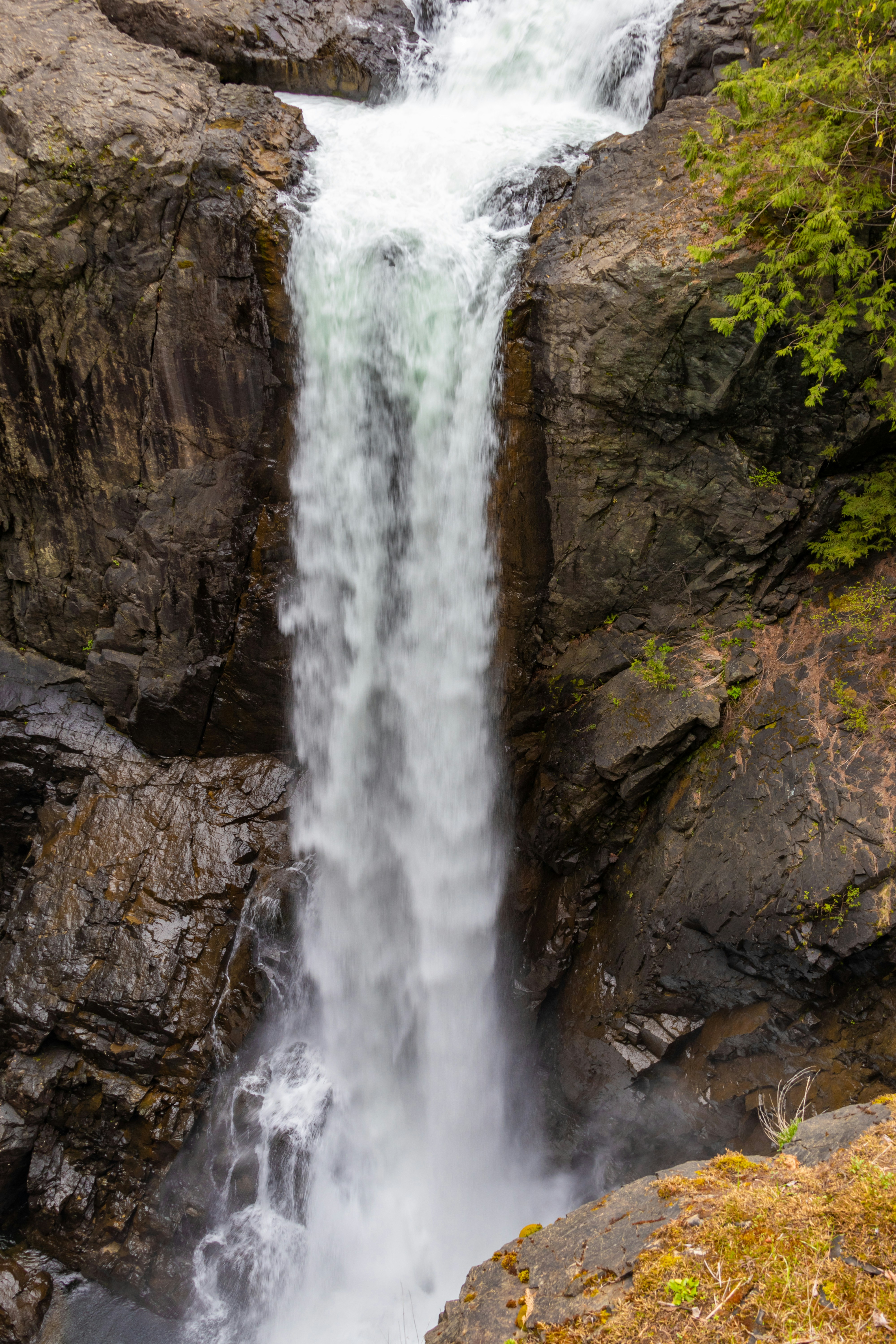 Photo by scatteredbitsoflight