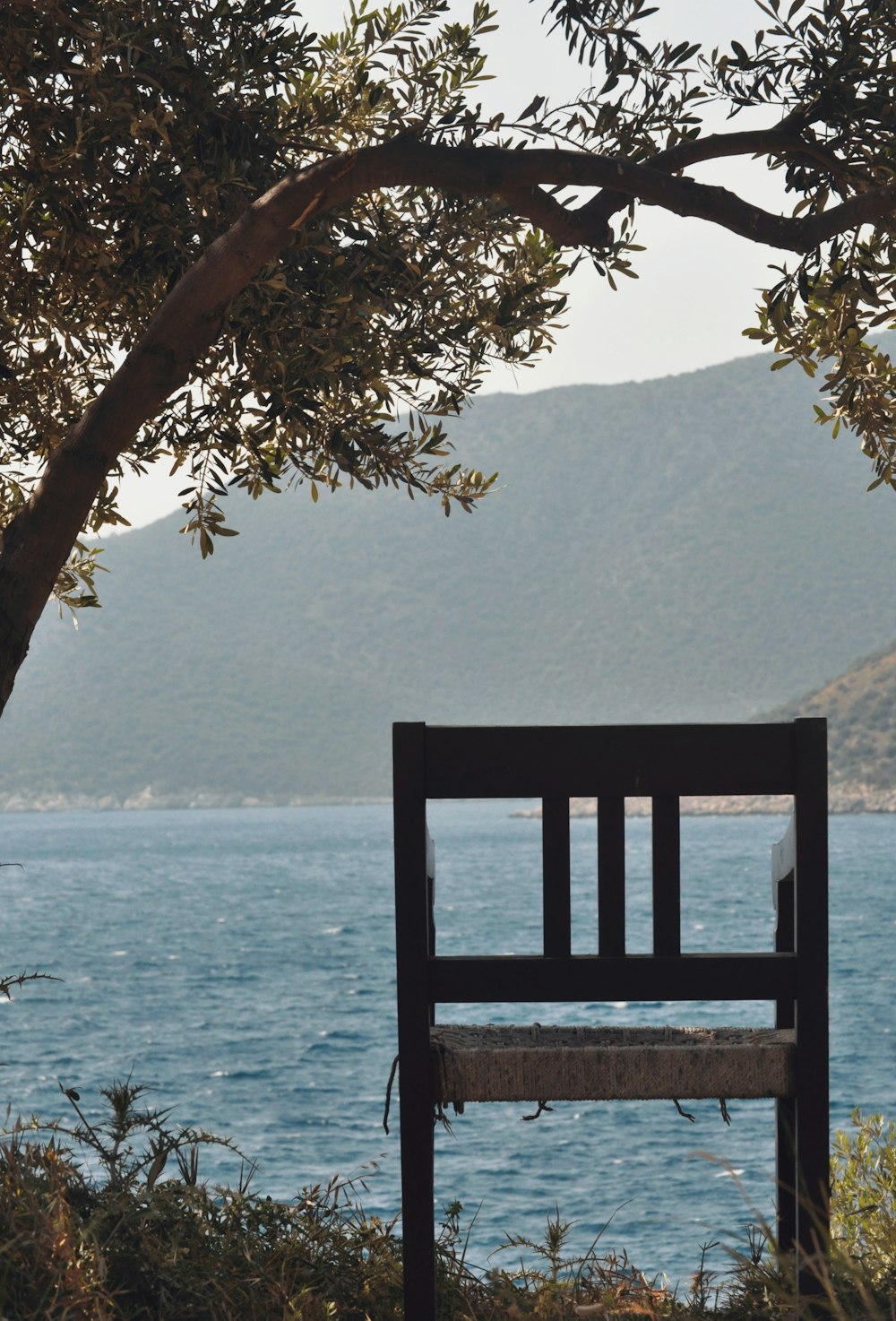 a bench overlooking a body of water