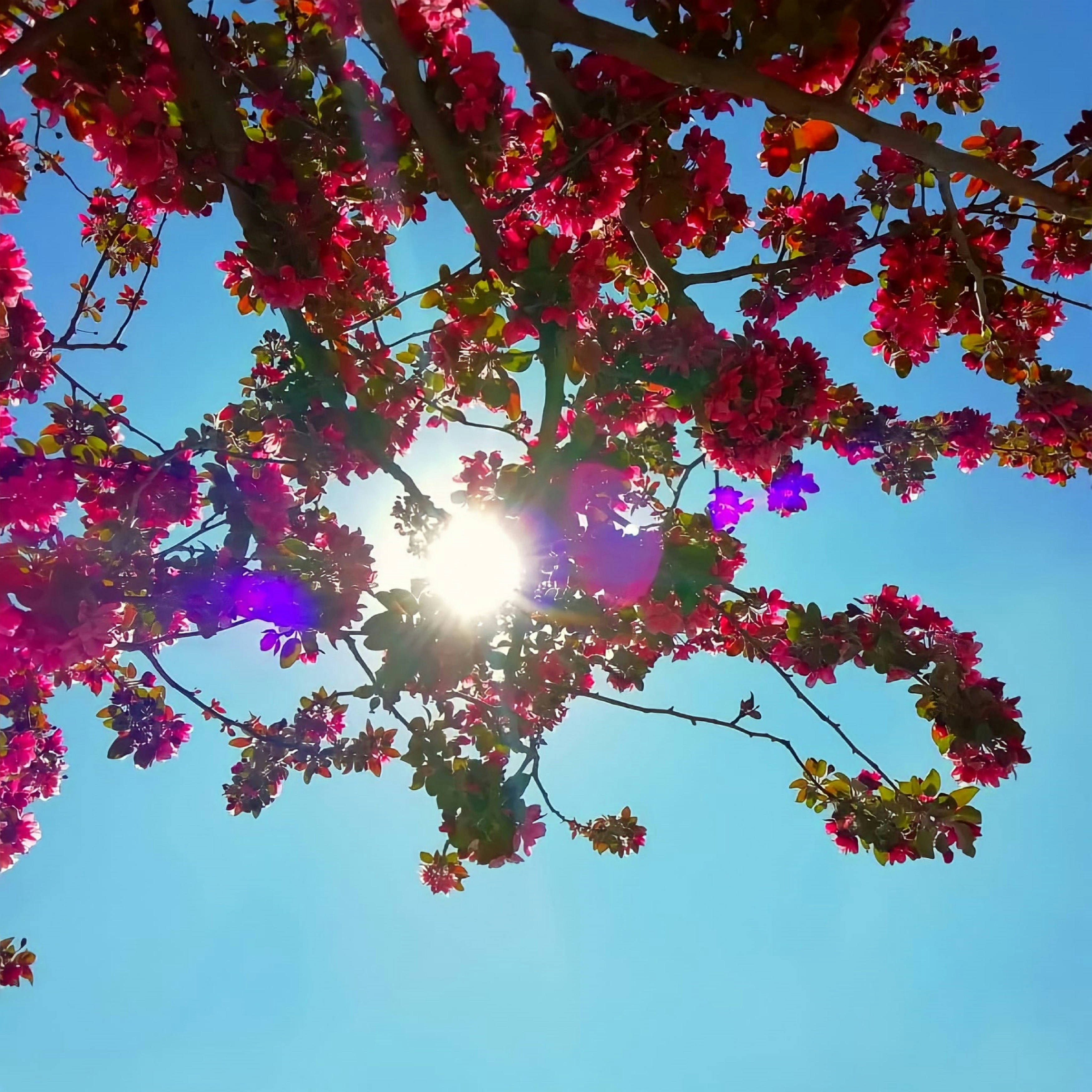 Photo by ilknurturkay