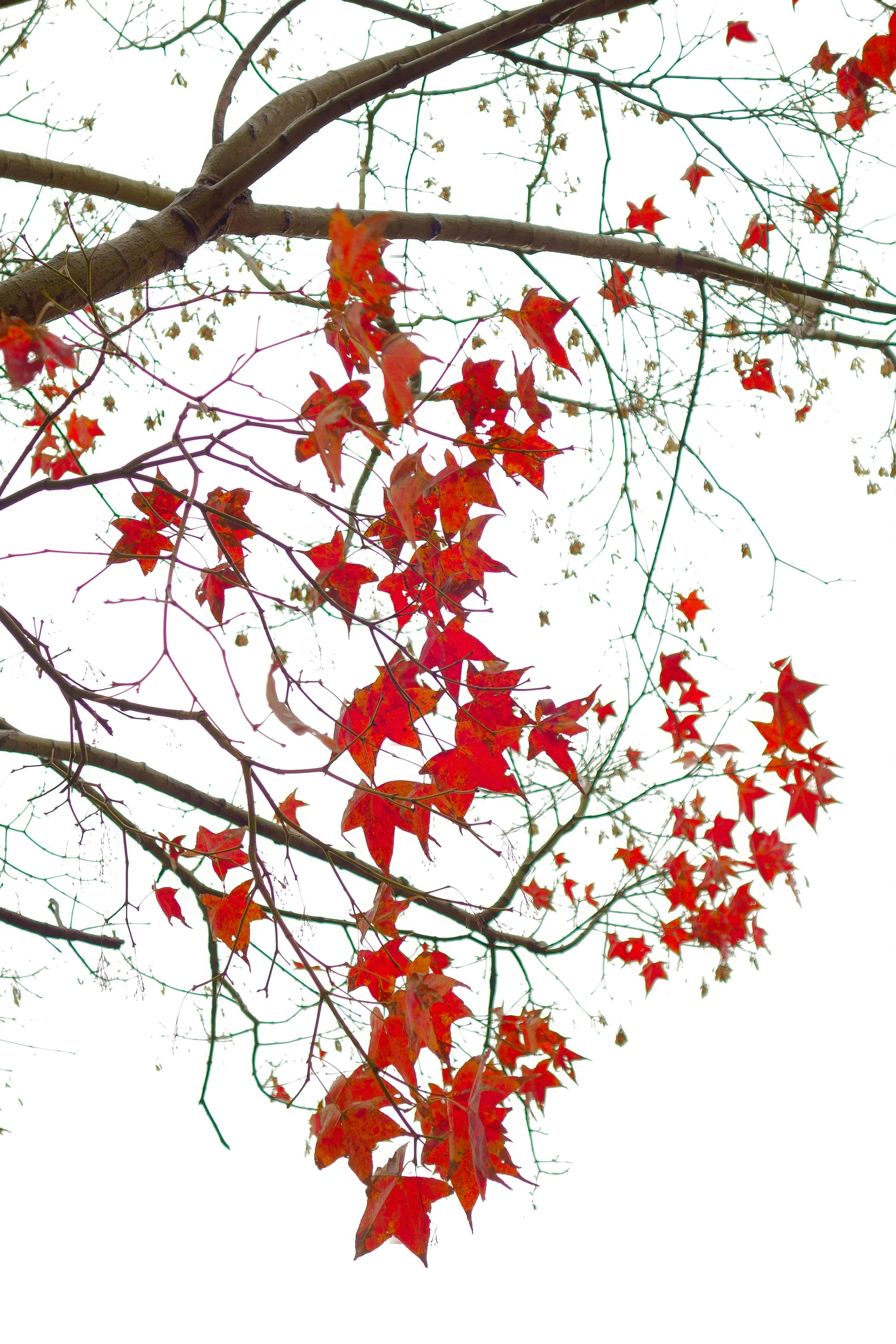 Photo by gingerlover