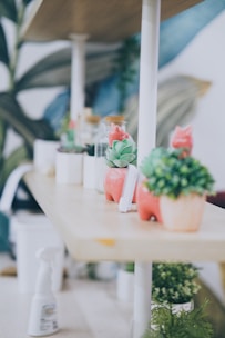 A wooden wall shelf with small plants and decorative items displayed.