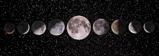 a group of planets in space