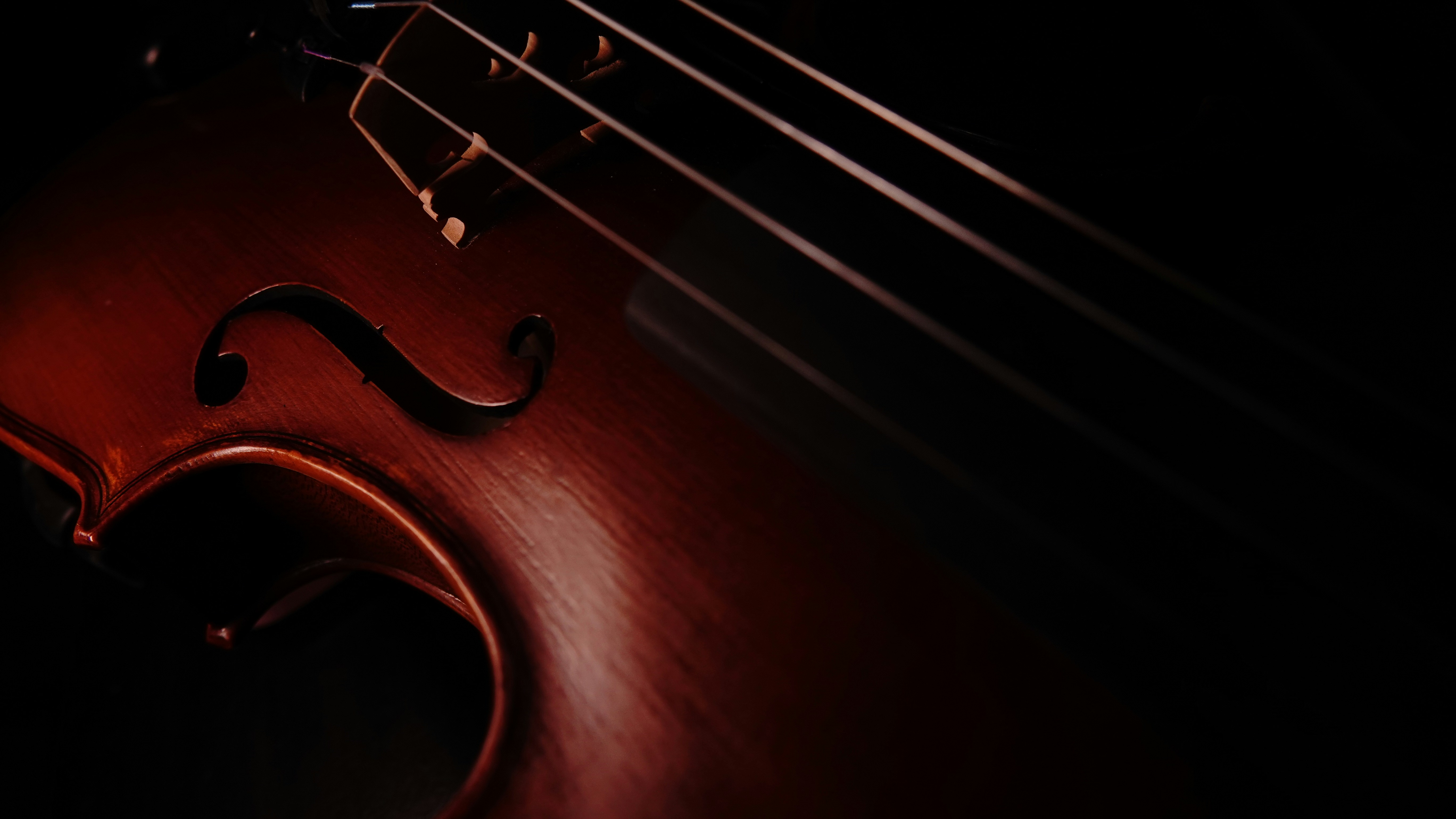 Kodály Zoltán emlékére