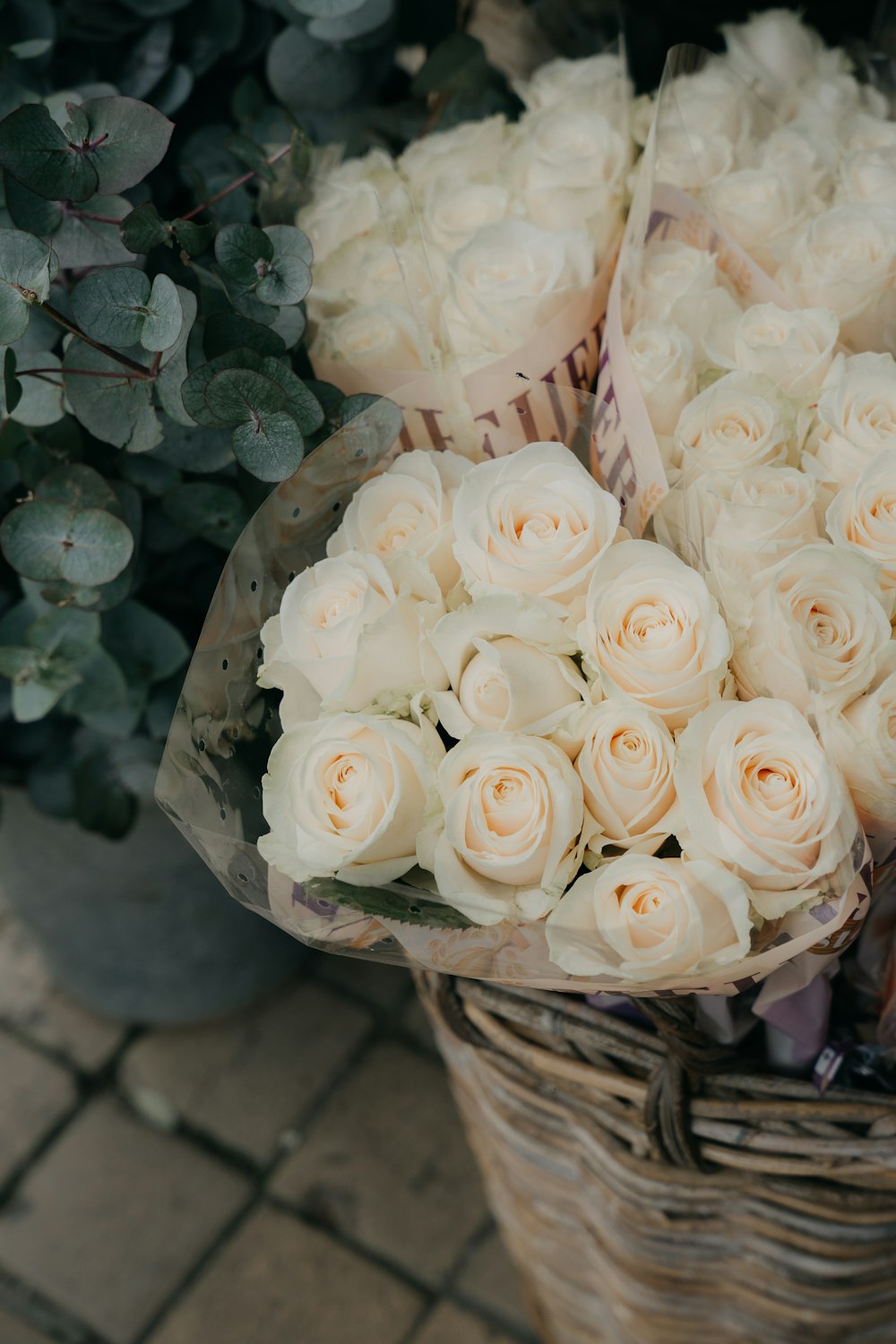 un panier de roses blanches