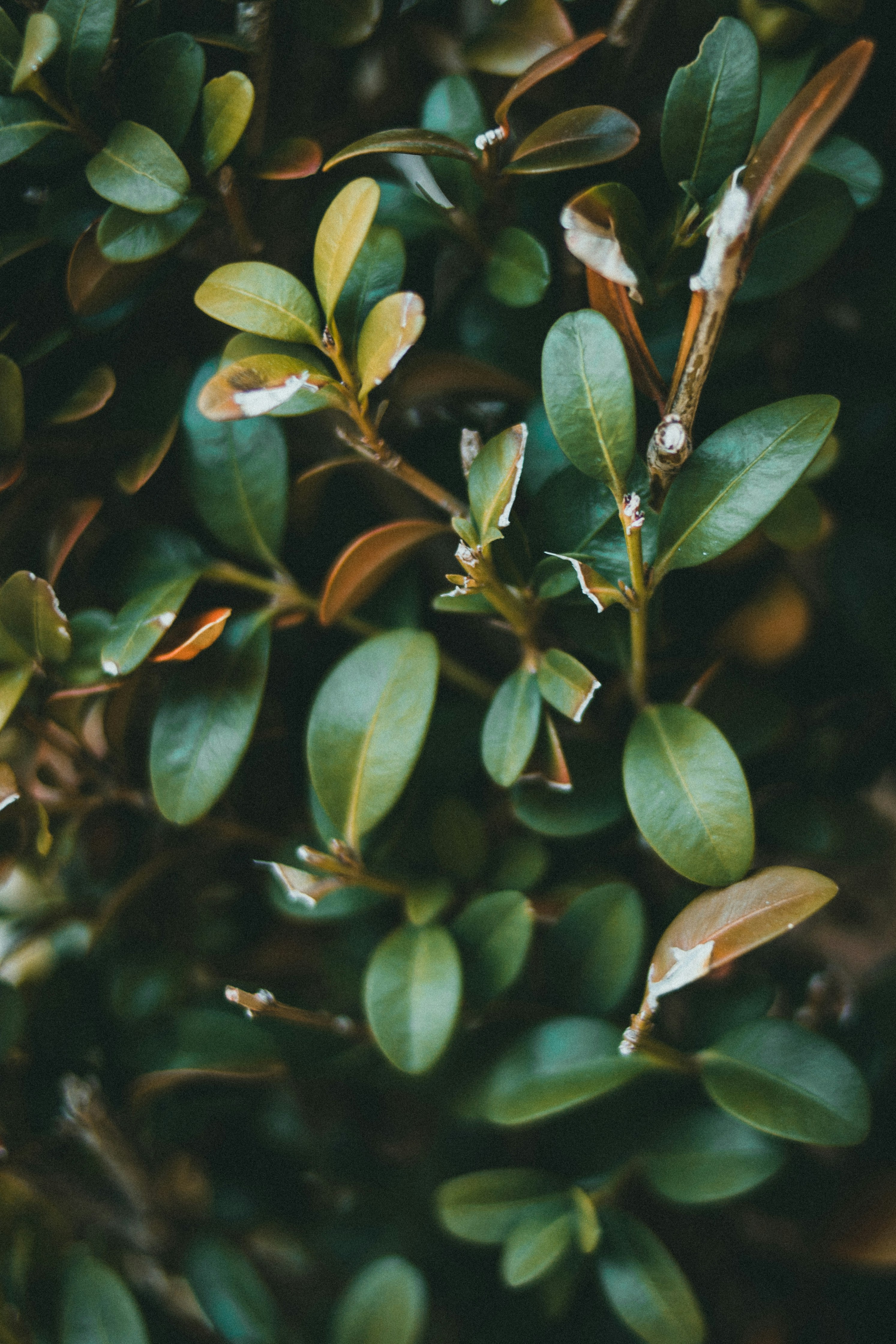 Photo by theshuttervision