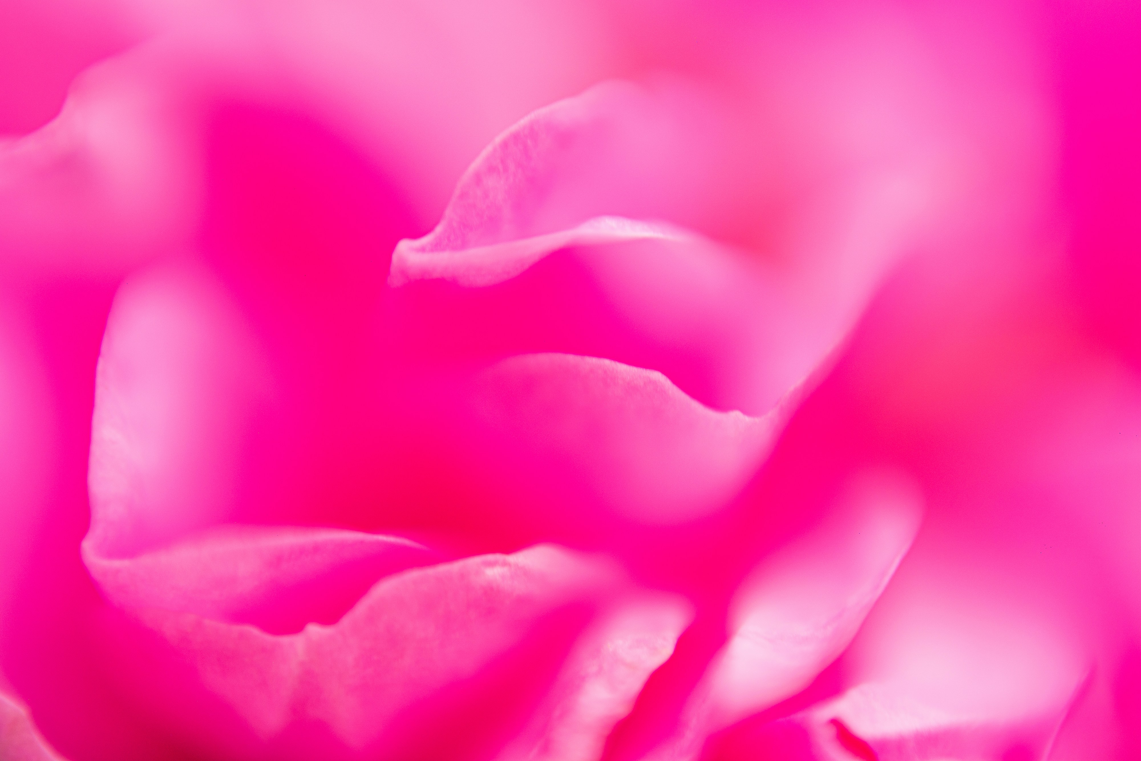 Photo by kiyoshi_jpg