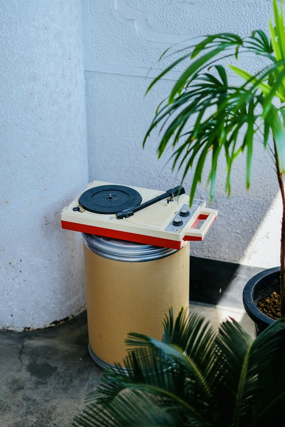 a plant next to a pot