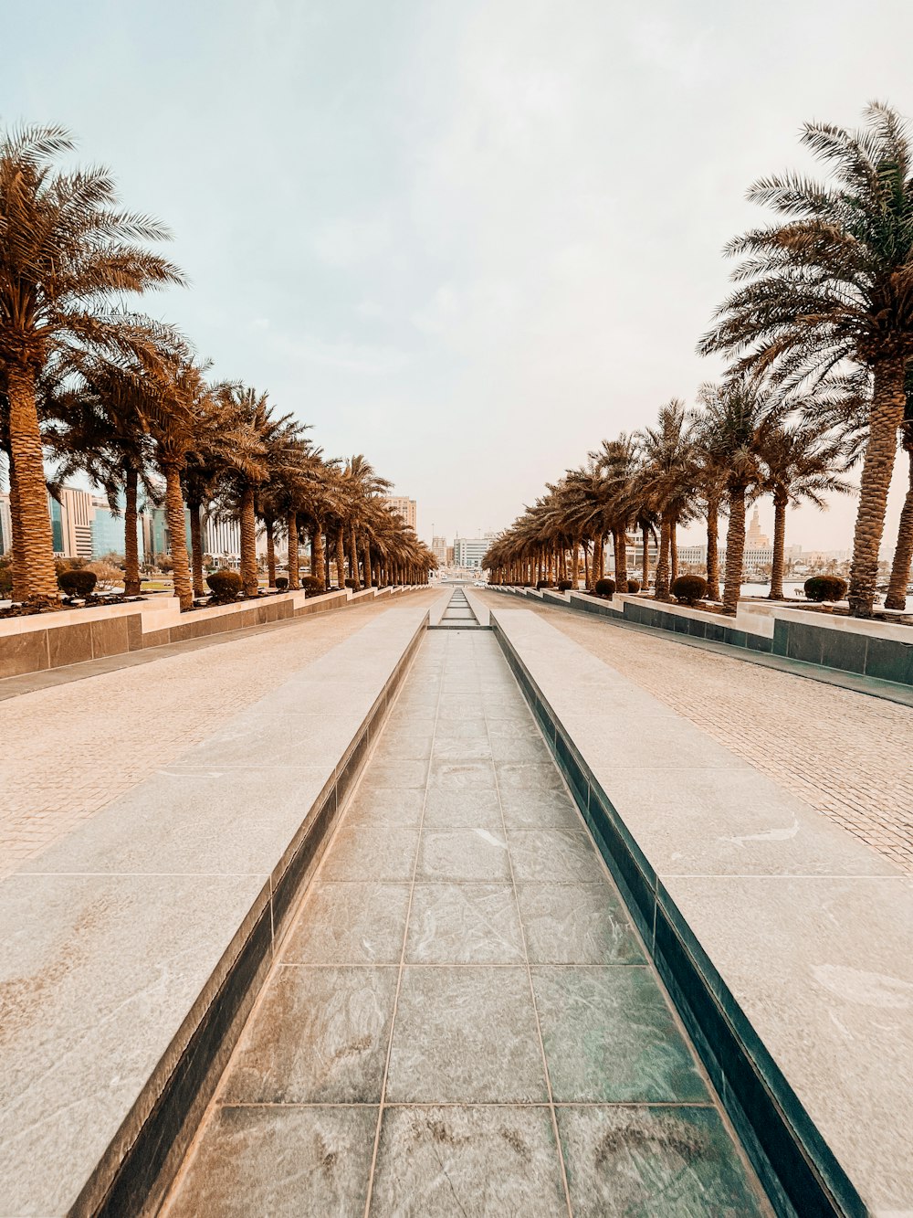 a paved walkway with trees on either side of it