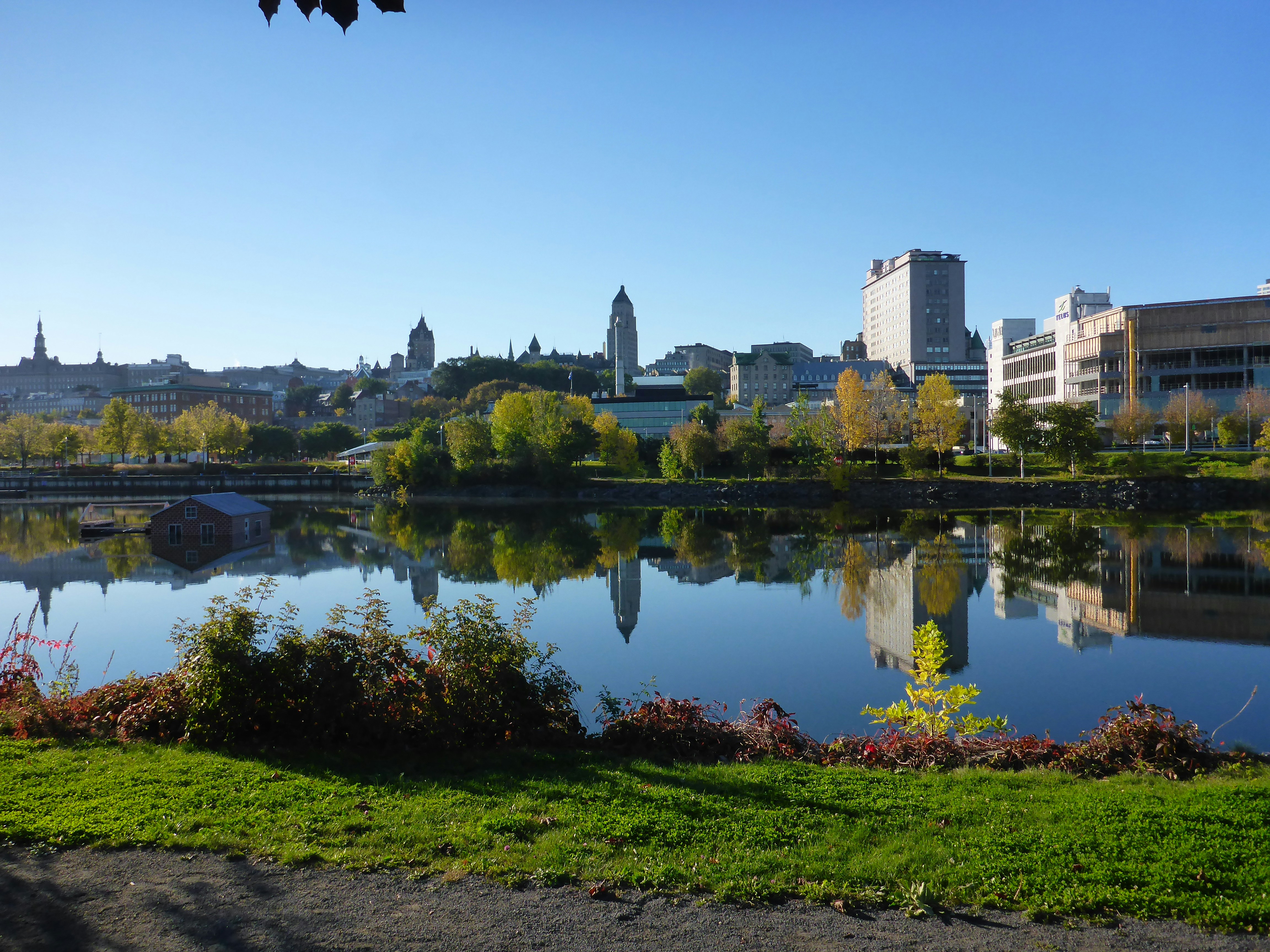 a body of water with buildings and trees around it
