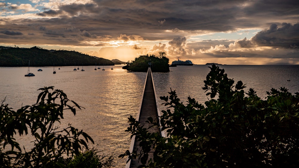 a body of water with boats and trees around it