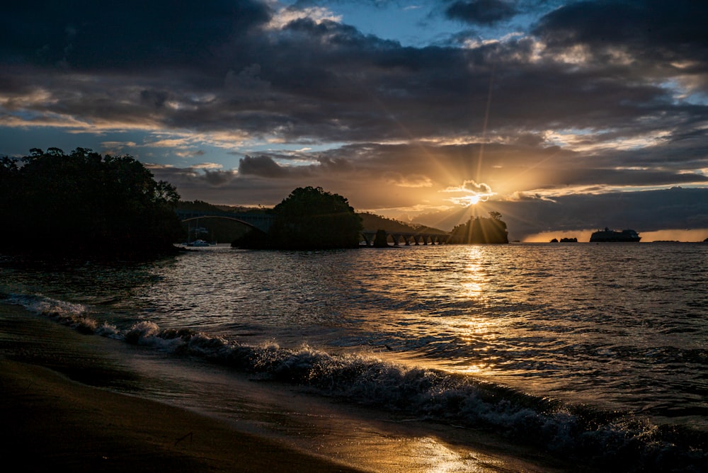 a beach with a bridge and trees