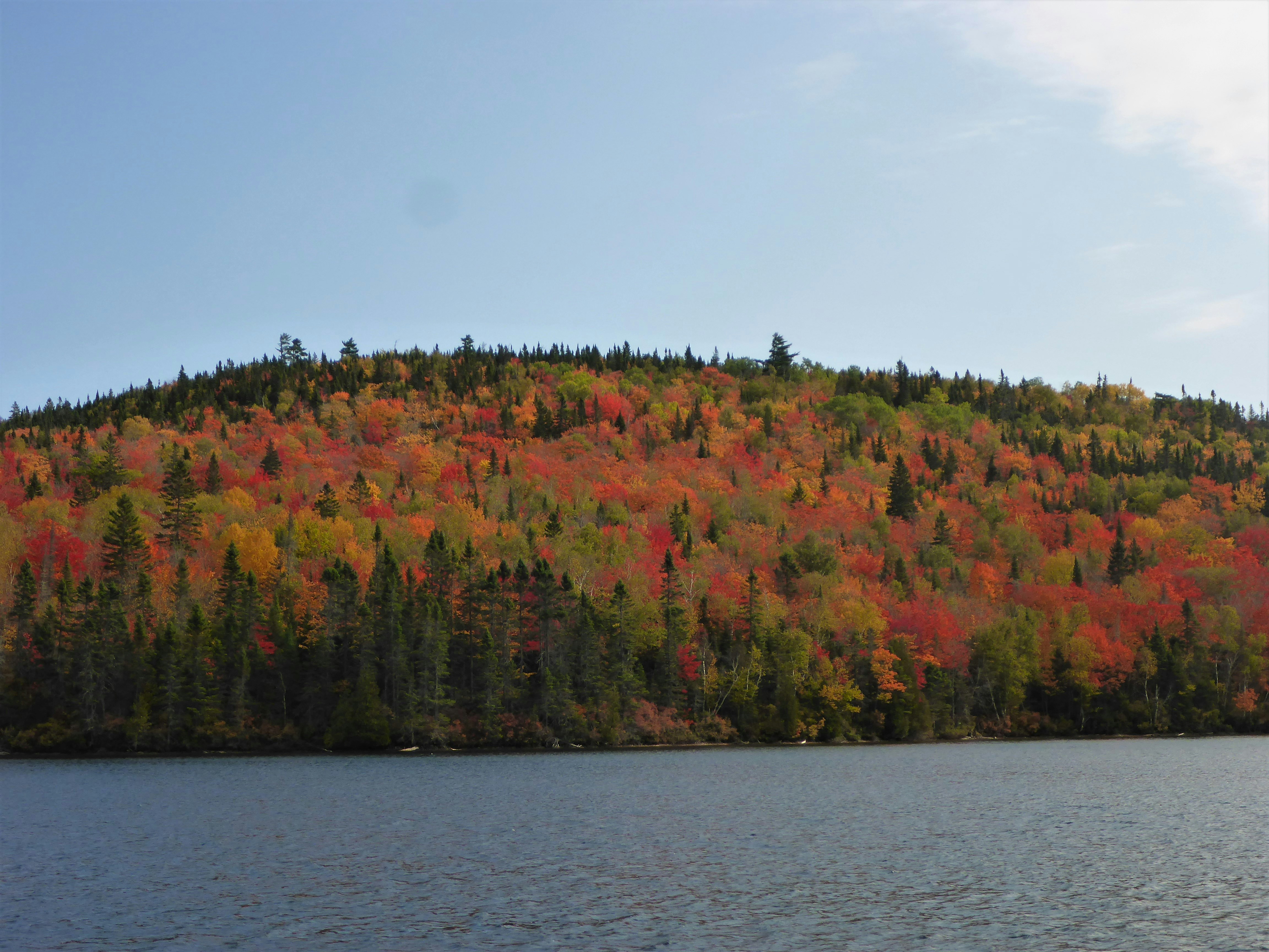 a body of water with trees on the side