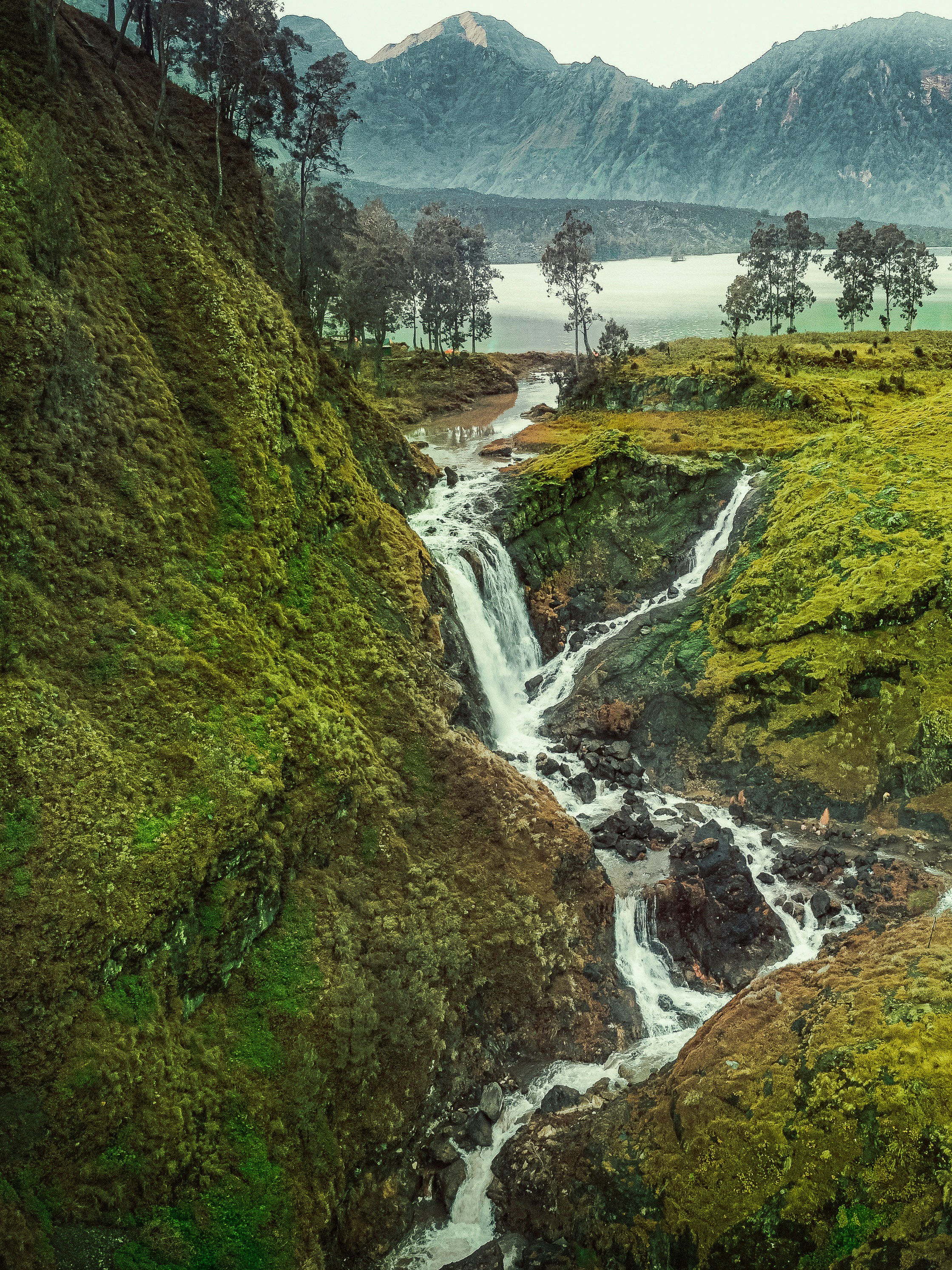 colombian landscape wallpaper, wallpaper, Perang Sipil Kolombia: Narkotika dan Pemberontakan 1
