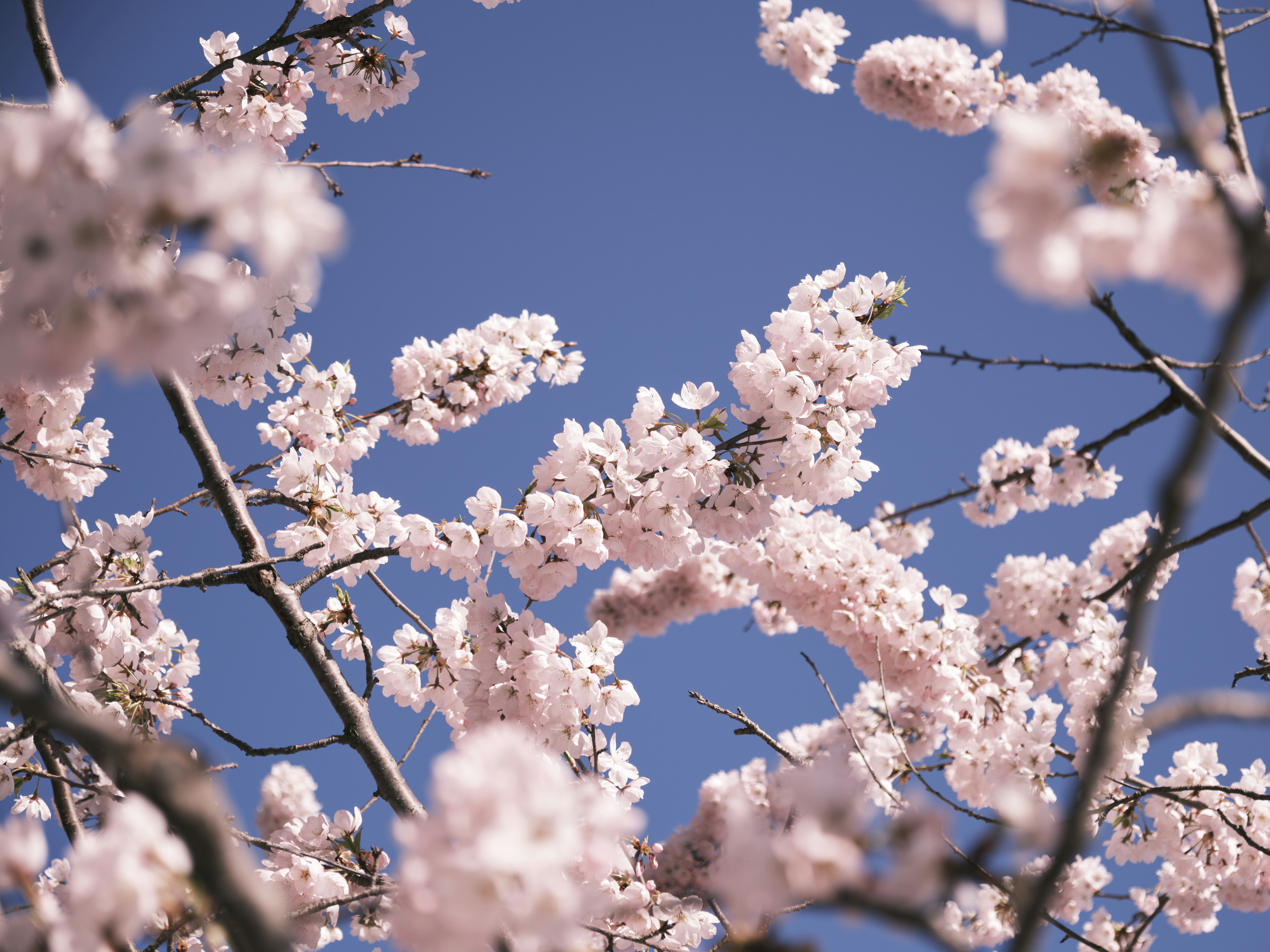 Photo by ultradrumstickman