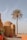 a palm tree in front of a building