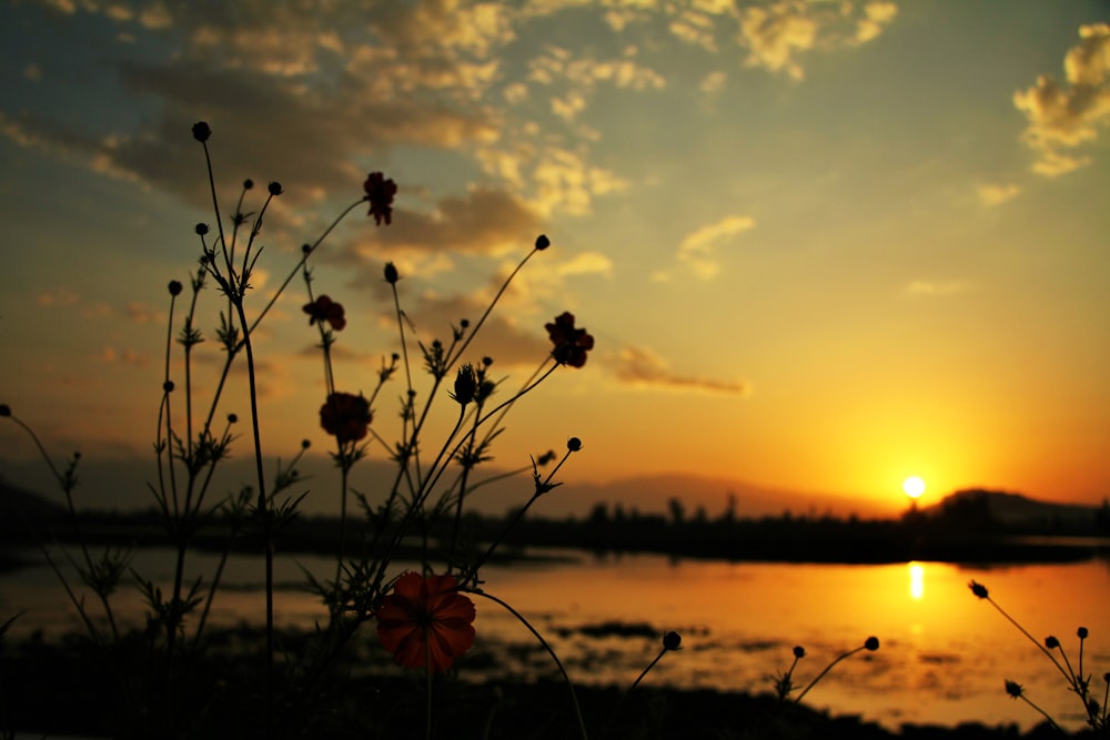 a sunset over a lake