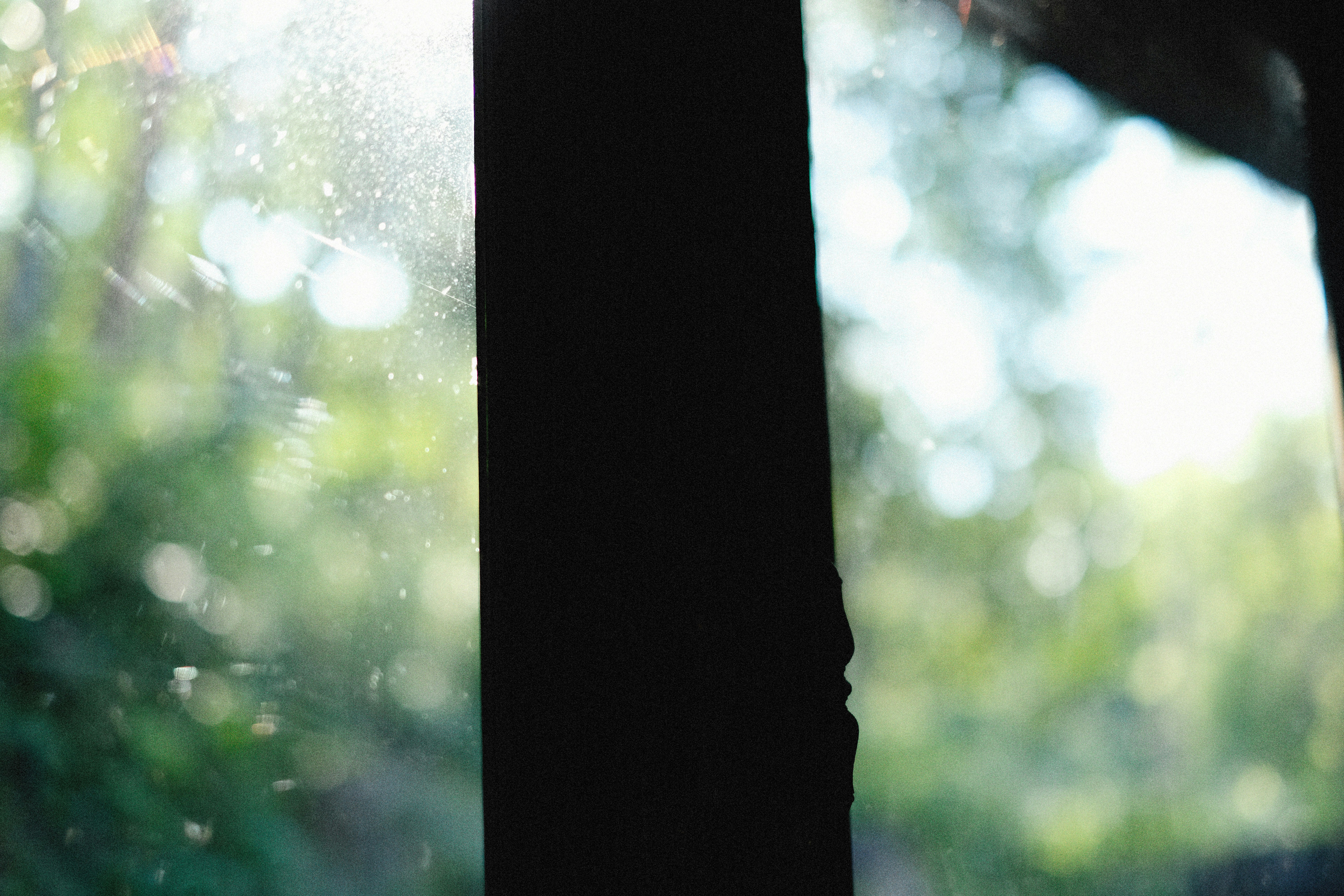 Photo by alexeydemidov