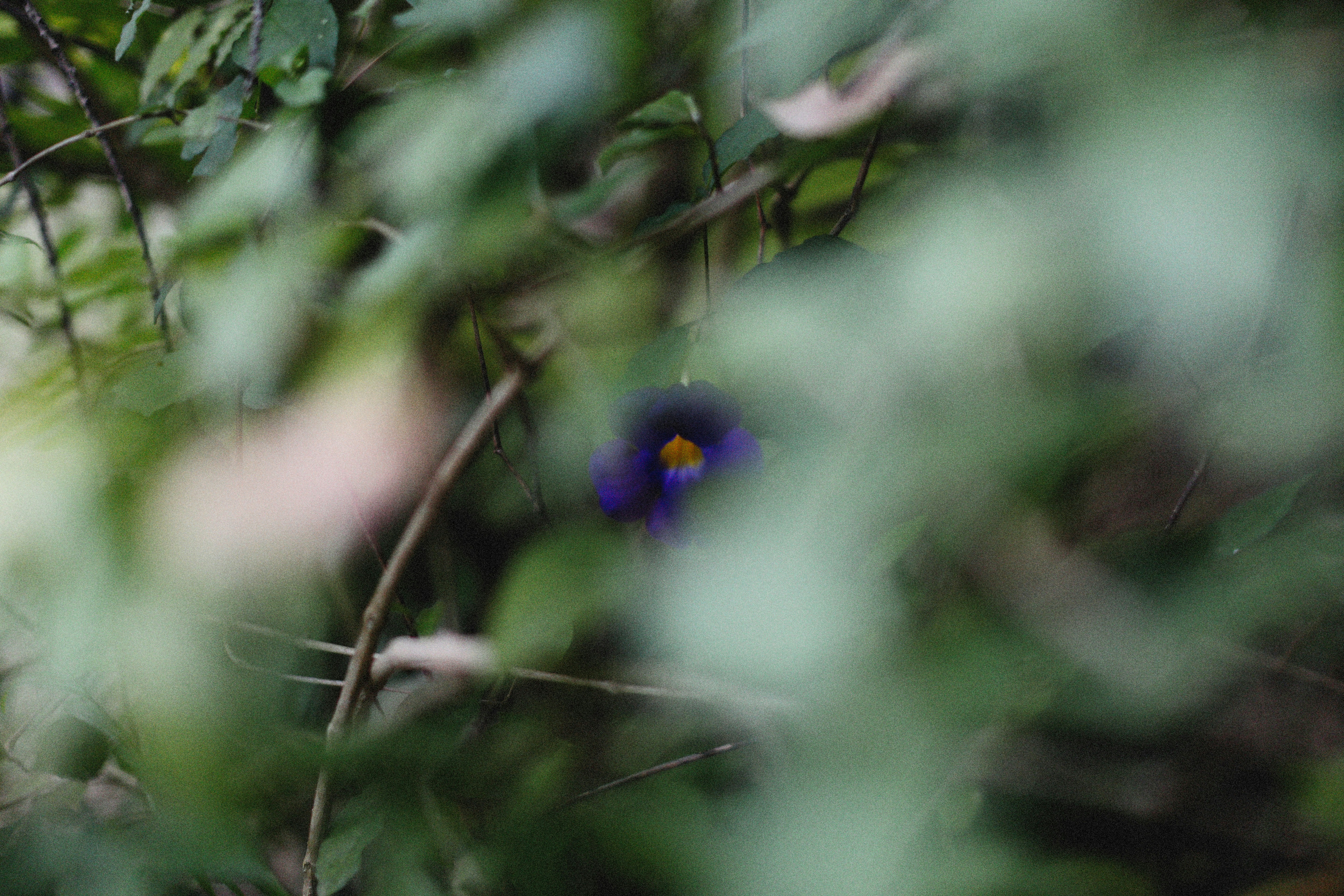 Photo by alexeydemidov