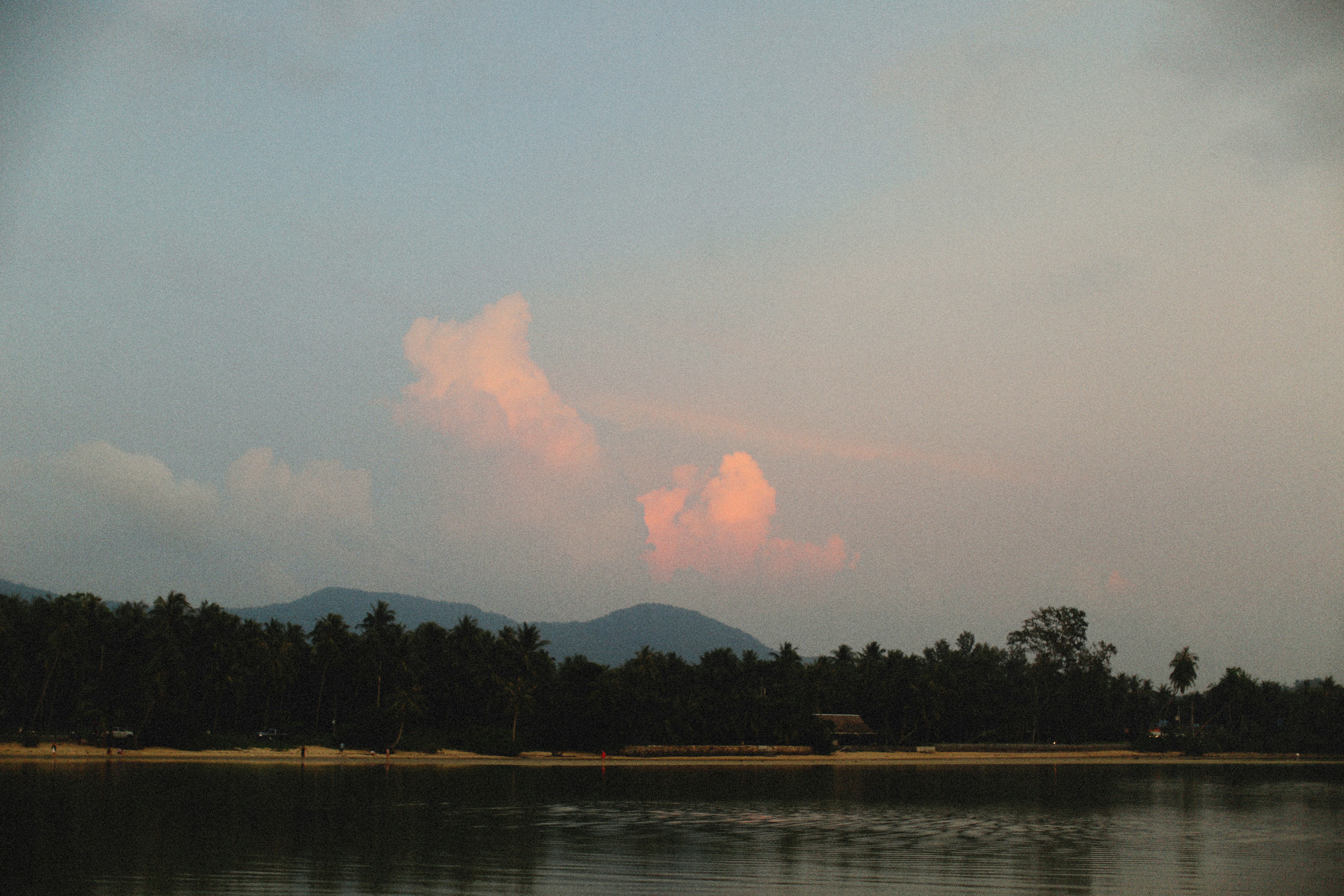 Photo by alexeydemidov
