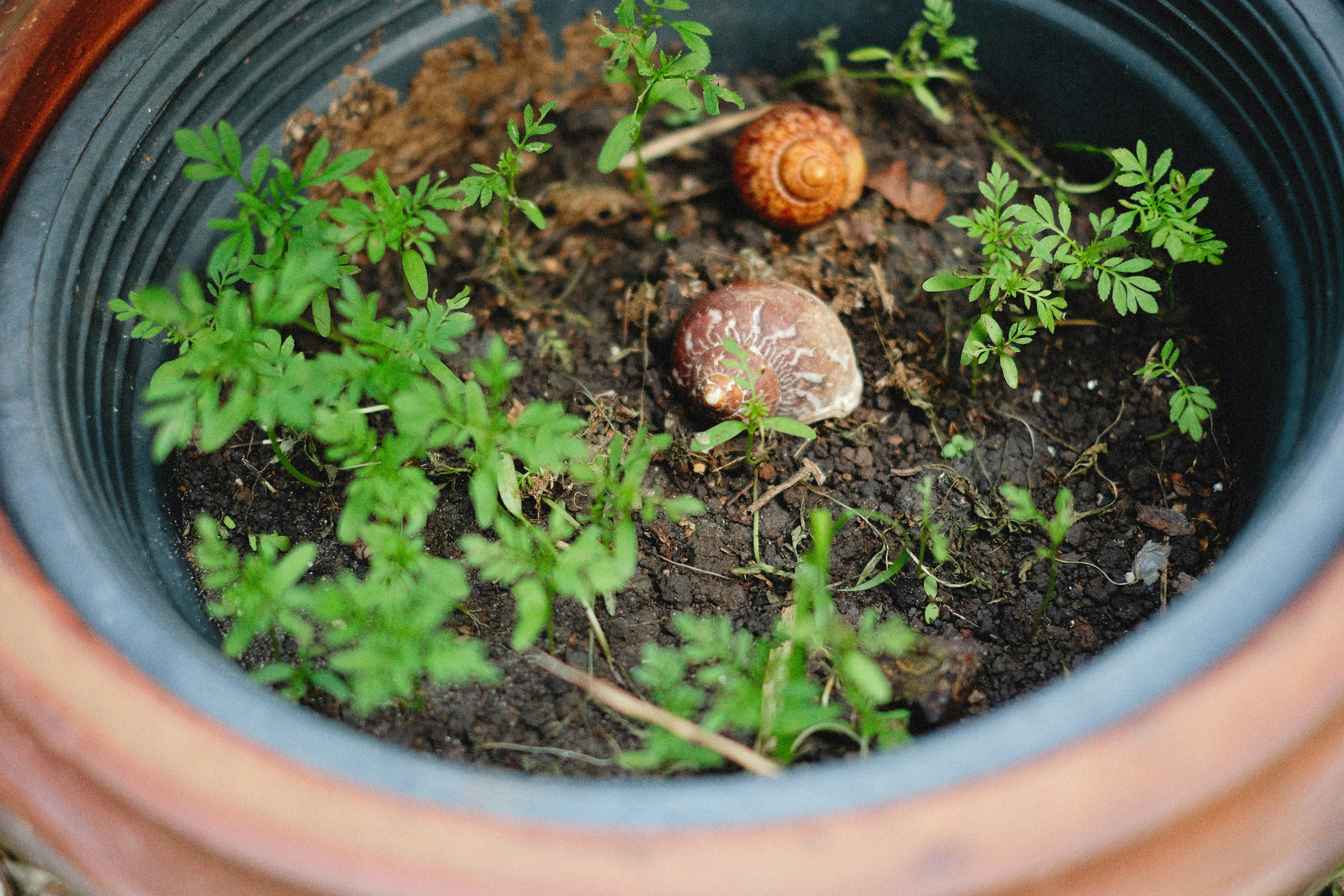 Photo by alexeydemidov