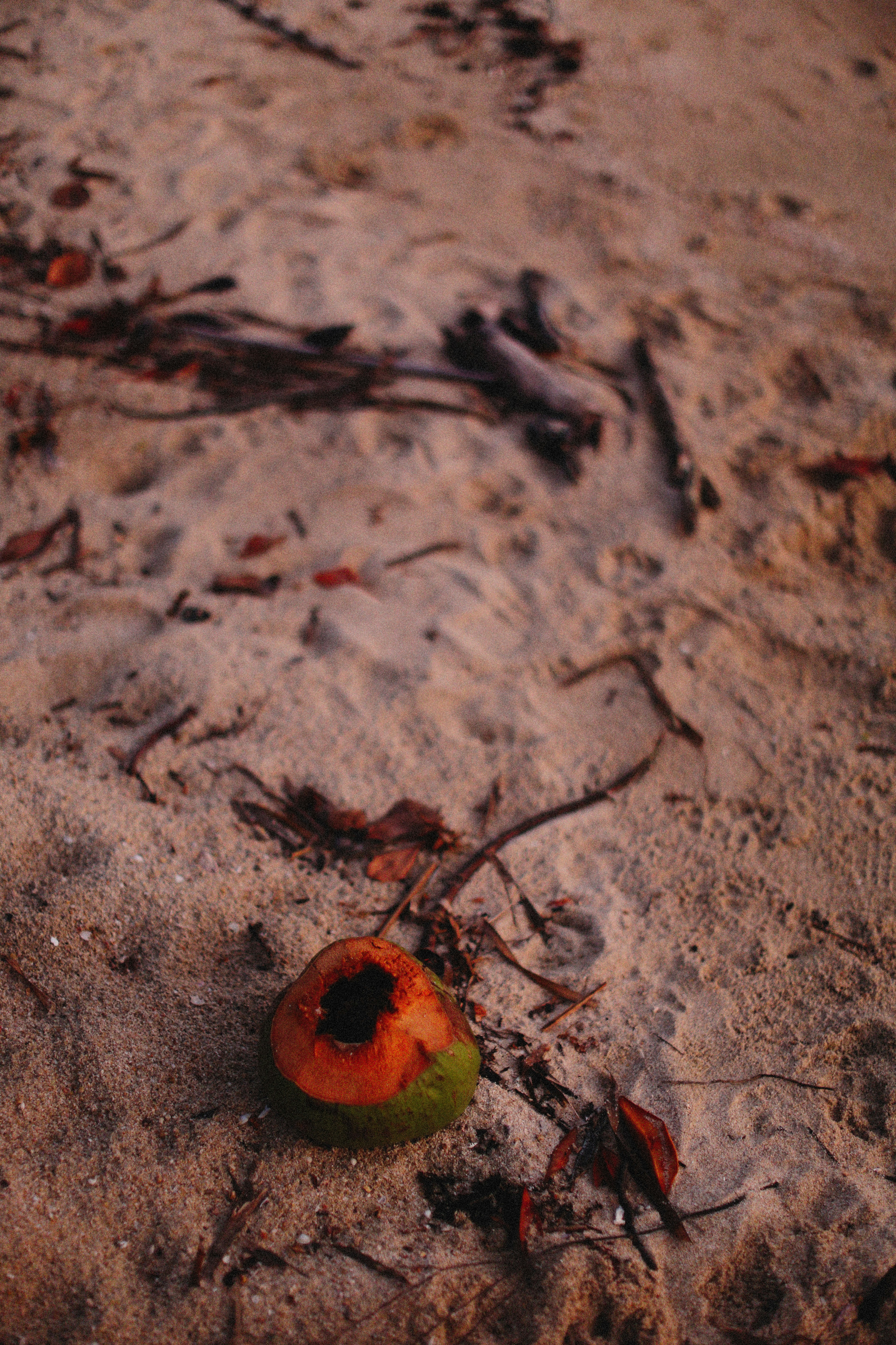 Photo by alexeydemidov