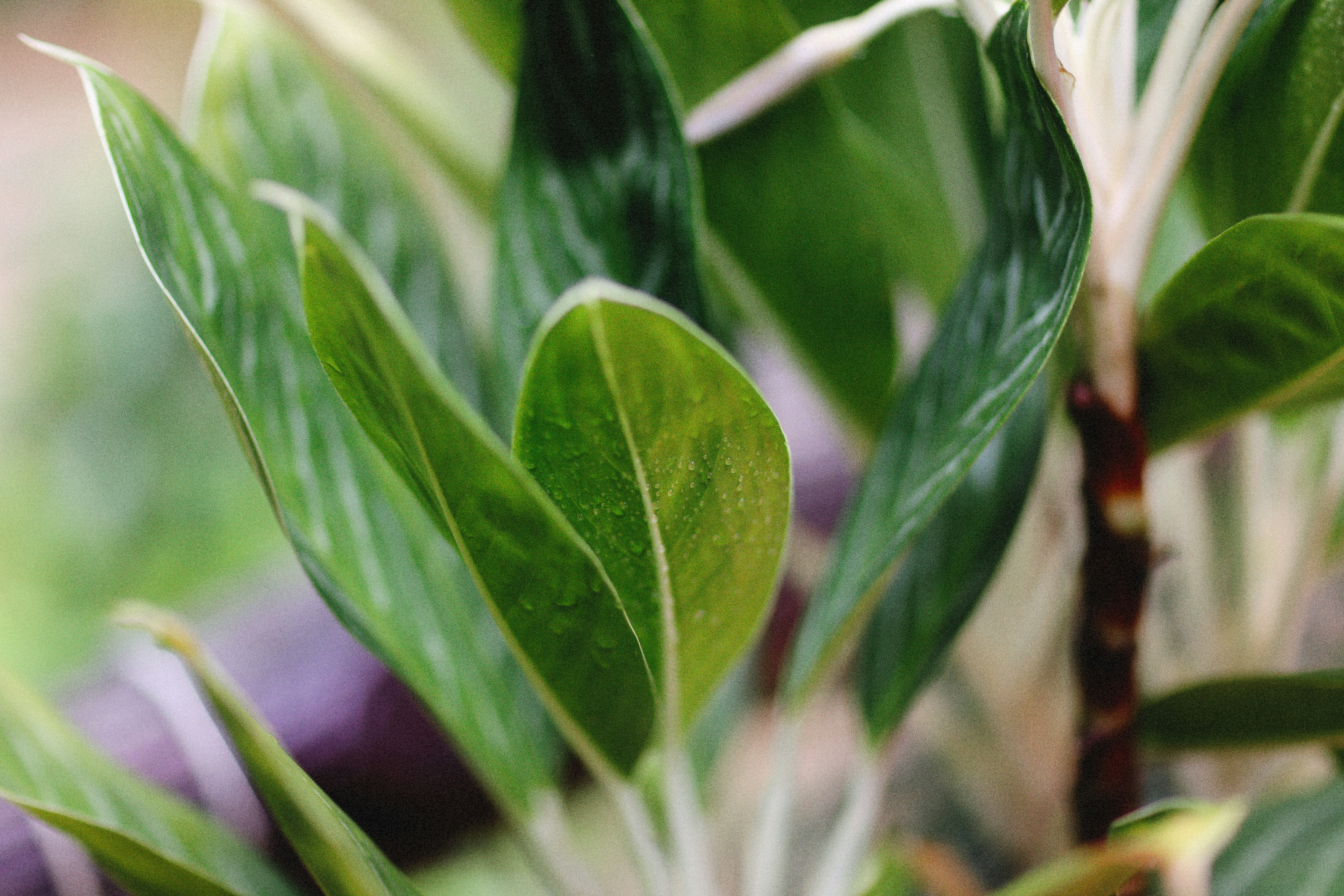 Photo by alexeydemidov