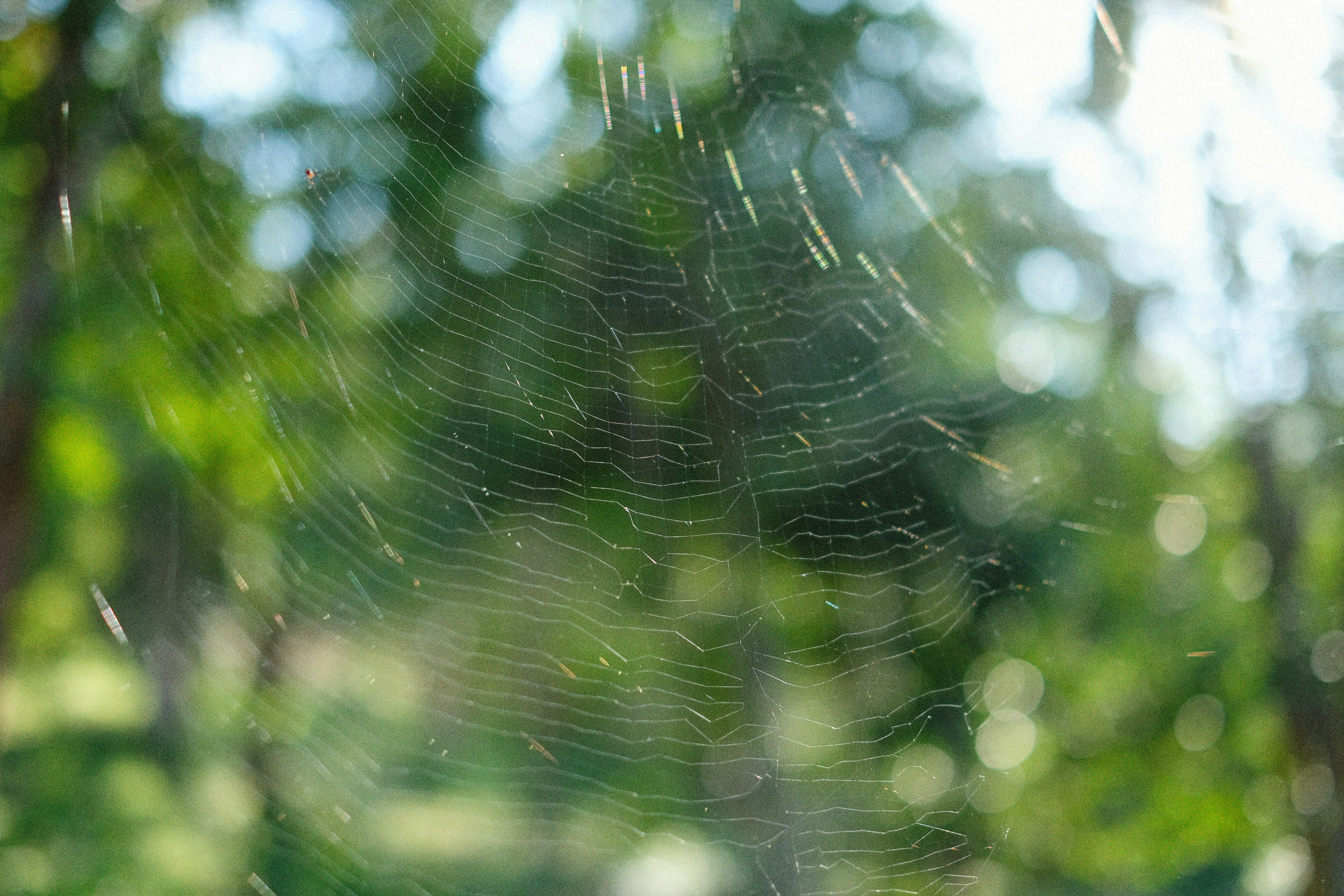 Photo by alexeydemidov