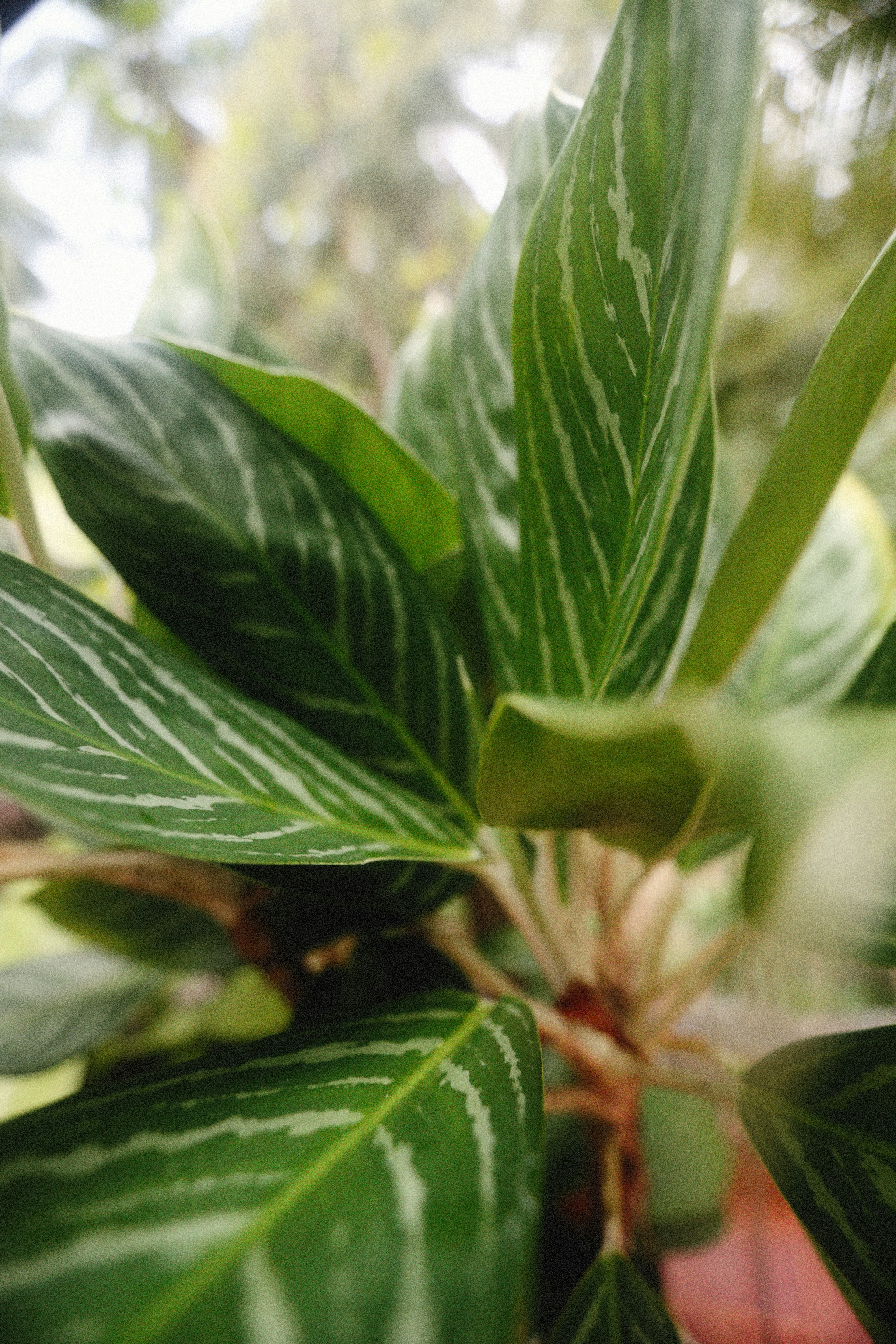 Photo by alexeydemidov