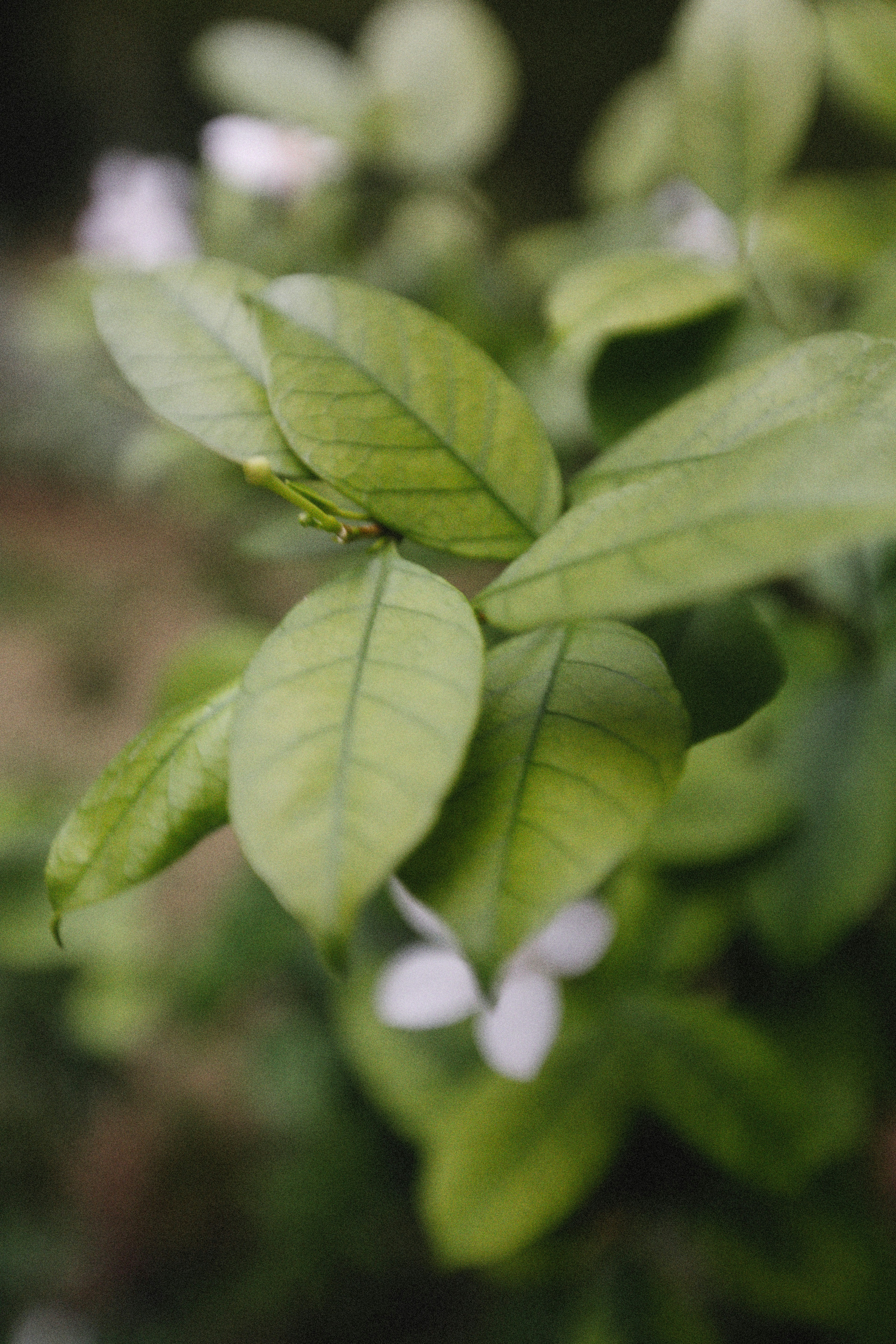 Photo by alexeydemidov